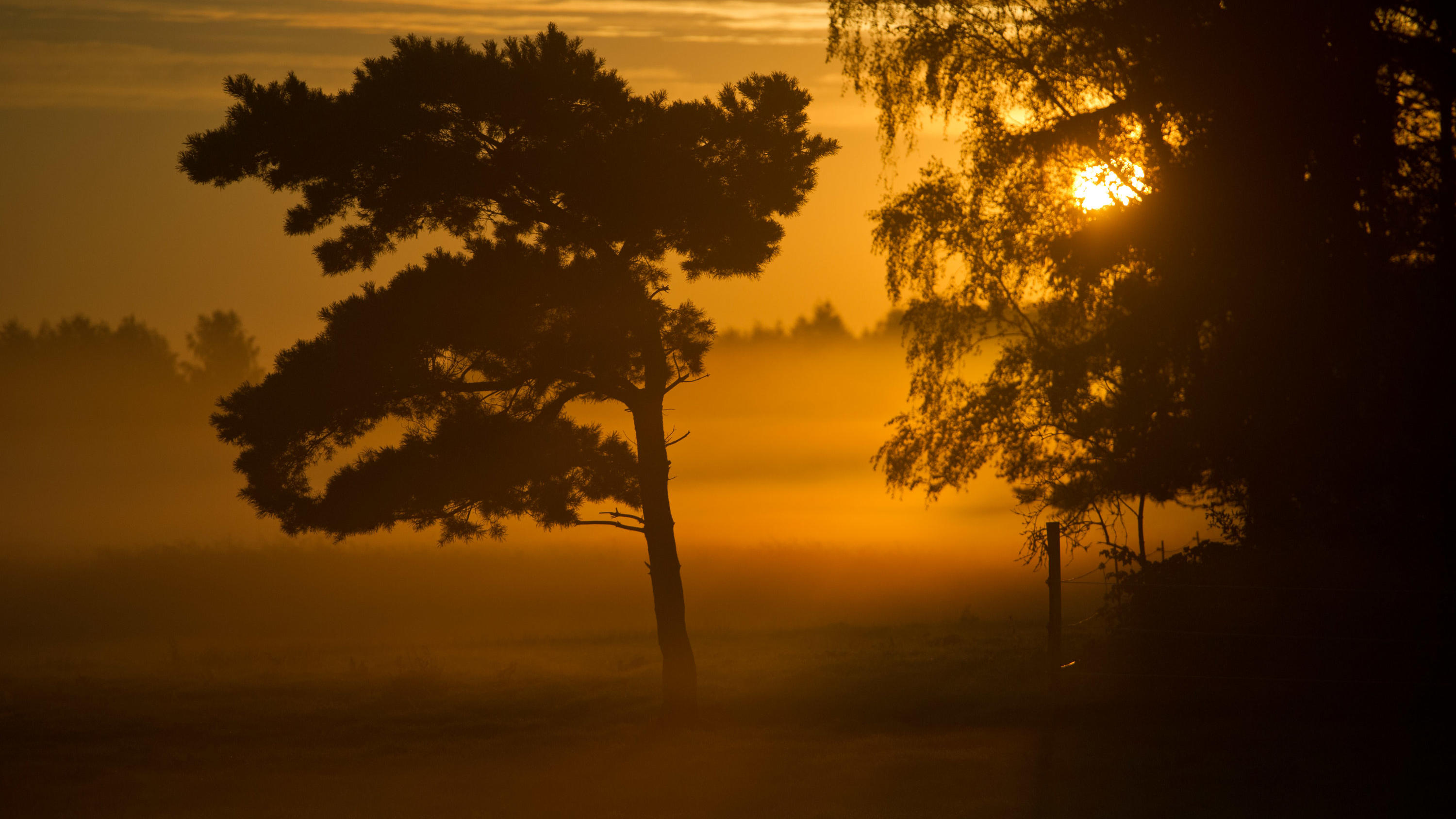 Wetterlexikon: Nebel Wetterlexikon: Nebel
