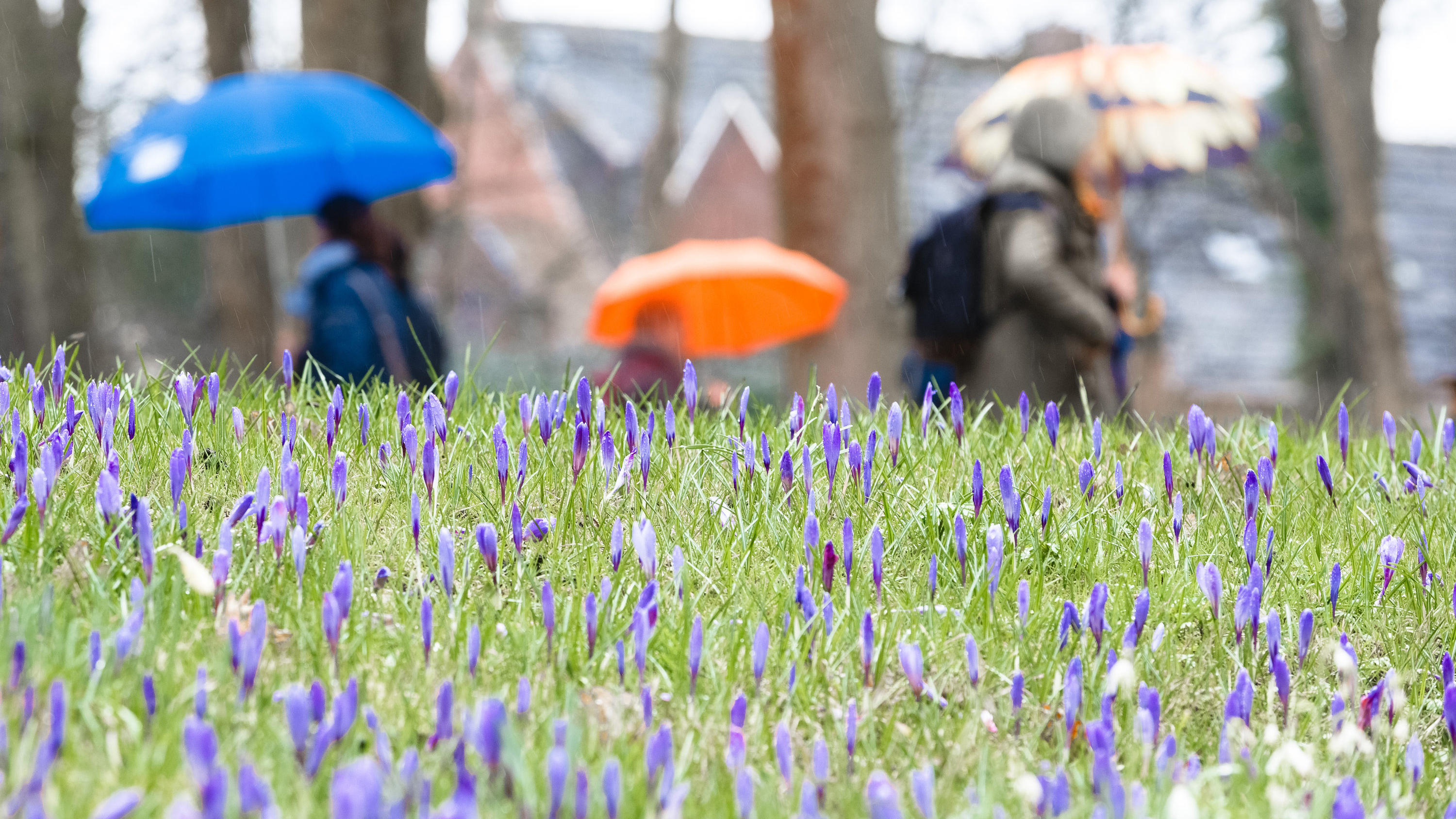 Wetterlexikon: Nieselregen Wetterlexikon: Nieselregen