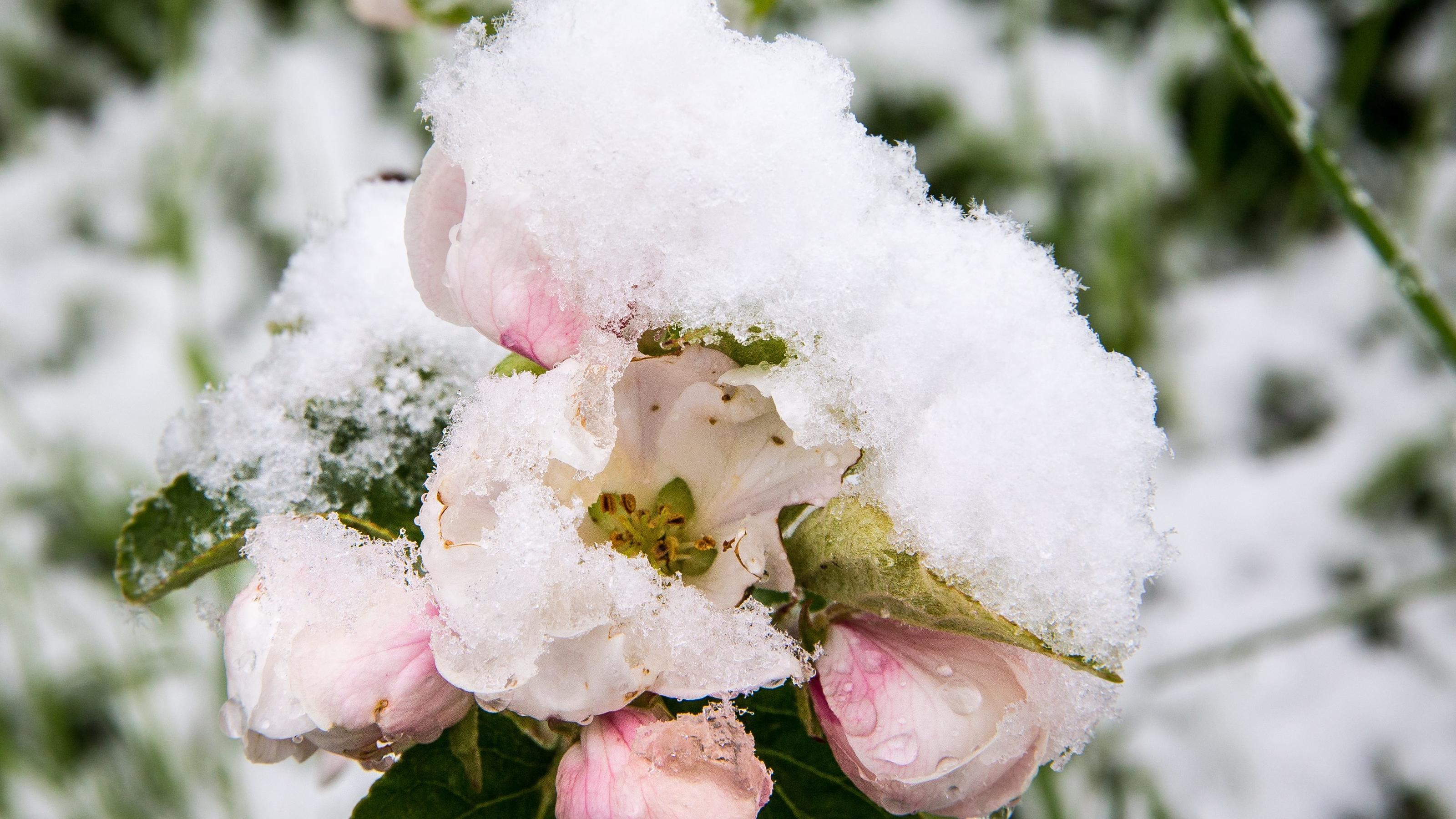 Wetterlexikon: Polarluft Wetterlexikon: Polarluft