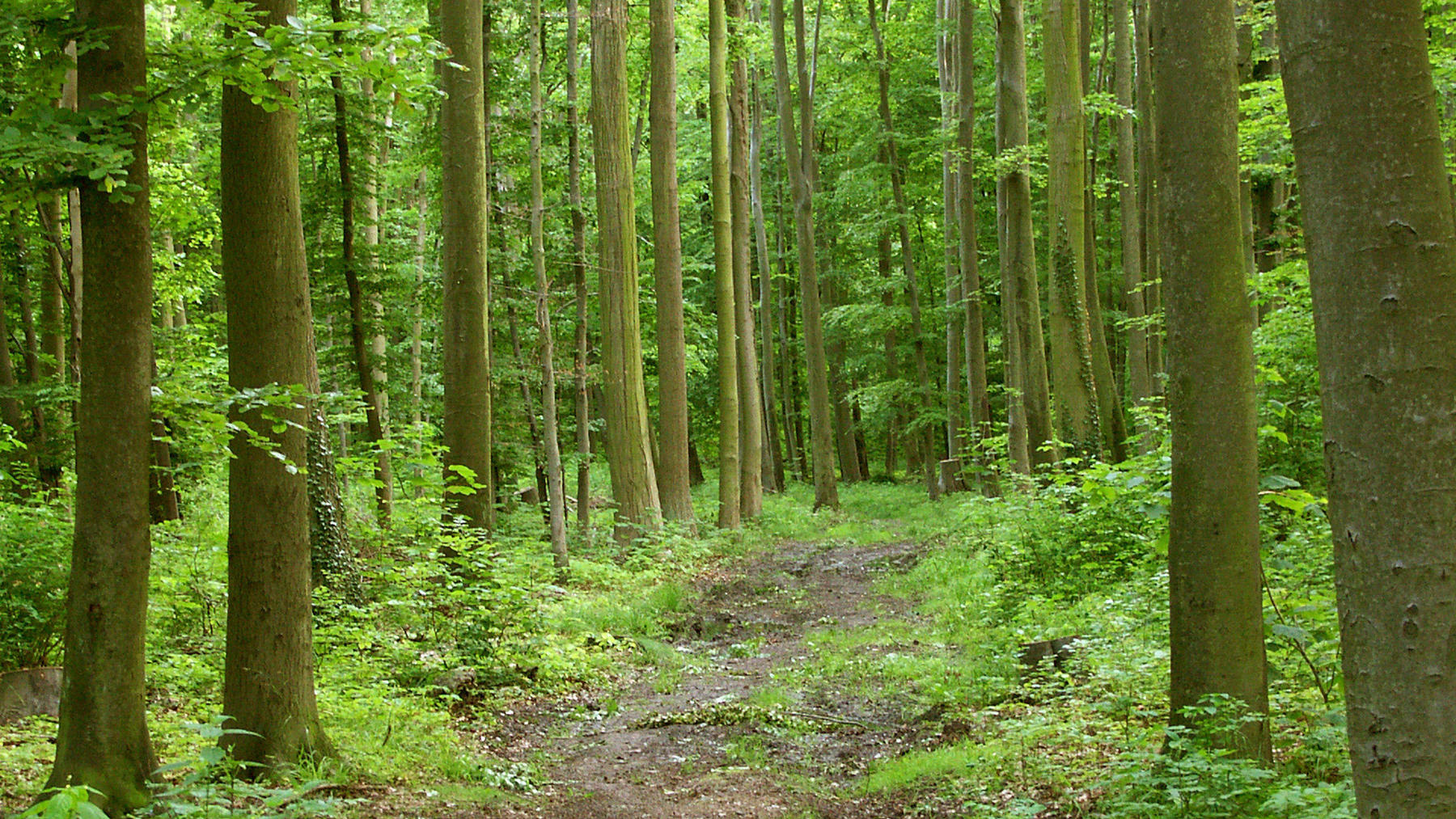 Wetterlexikon: Regionalklima Wetterlexikon: Regionalklima