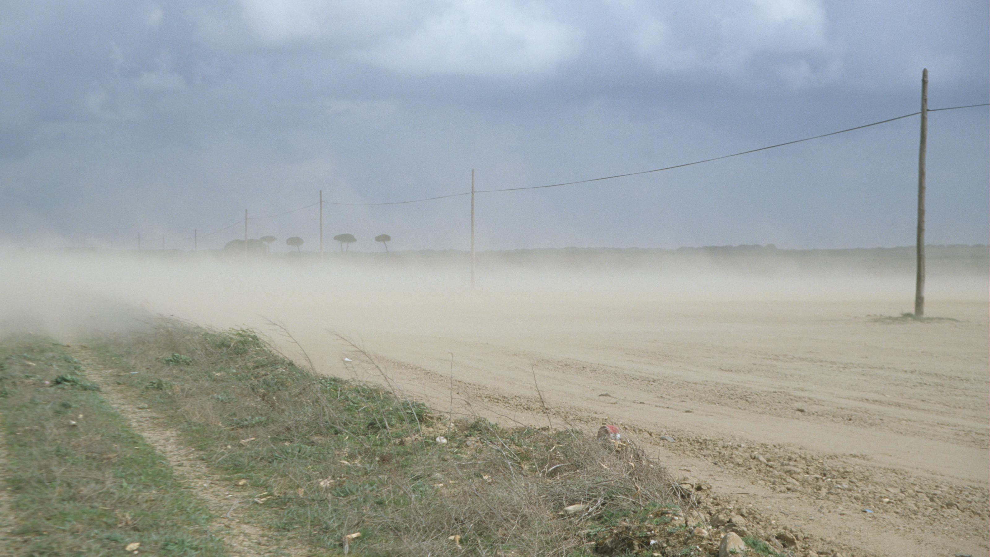 Serie zum Klimawandel: Hitzewellen und Extremwetter - wie sehr leiden die Pflanzen? Bodenerosion bei starkem Wind, Spanien, Europa | Verwendung weltweit, Keine Weitergabe an Wiederverkäufer.