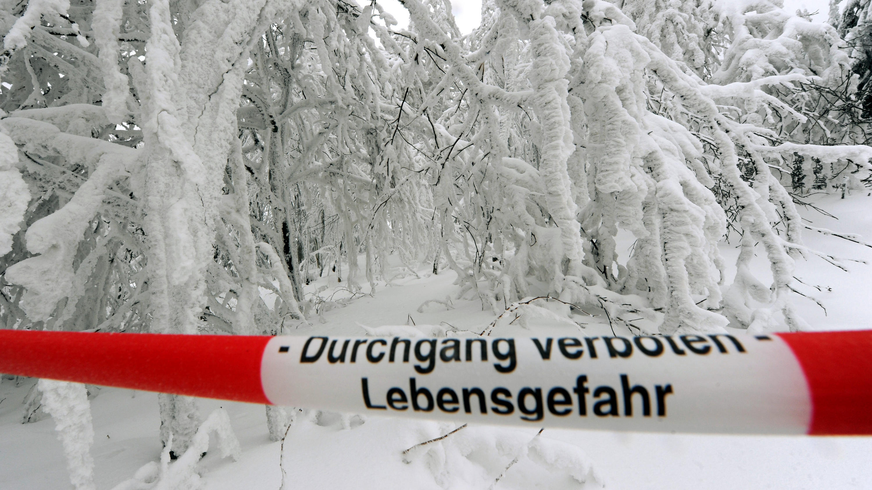 Wetterlexikon: Schneebruch Wetterlexikon: Schneebruch