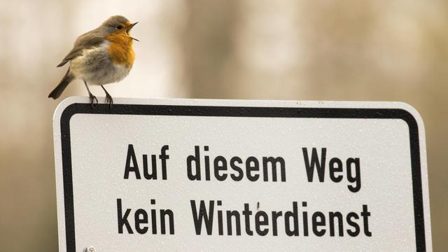 Schnee, Glatteis-Warnung und -10 Grad