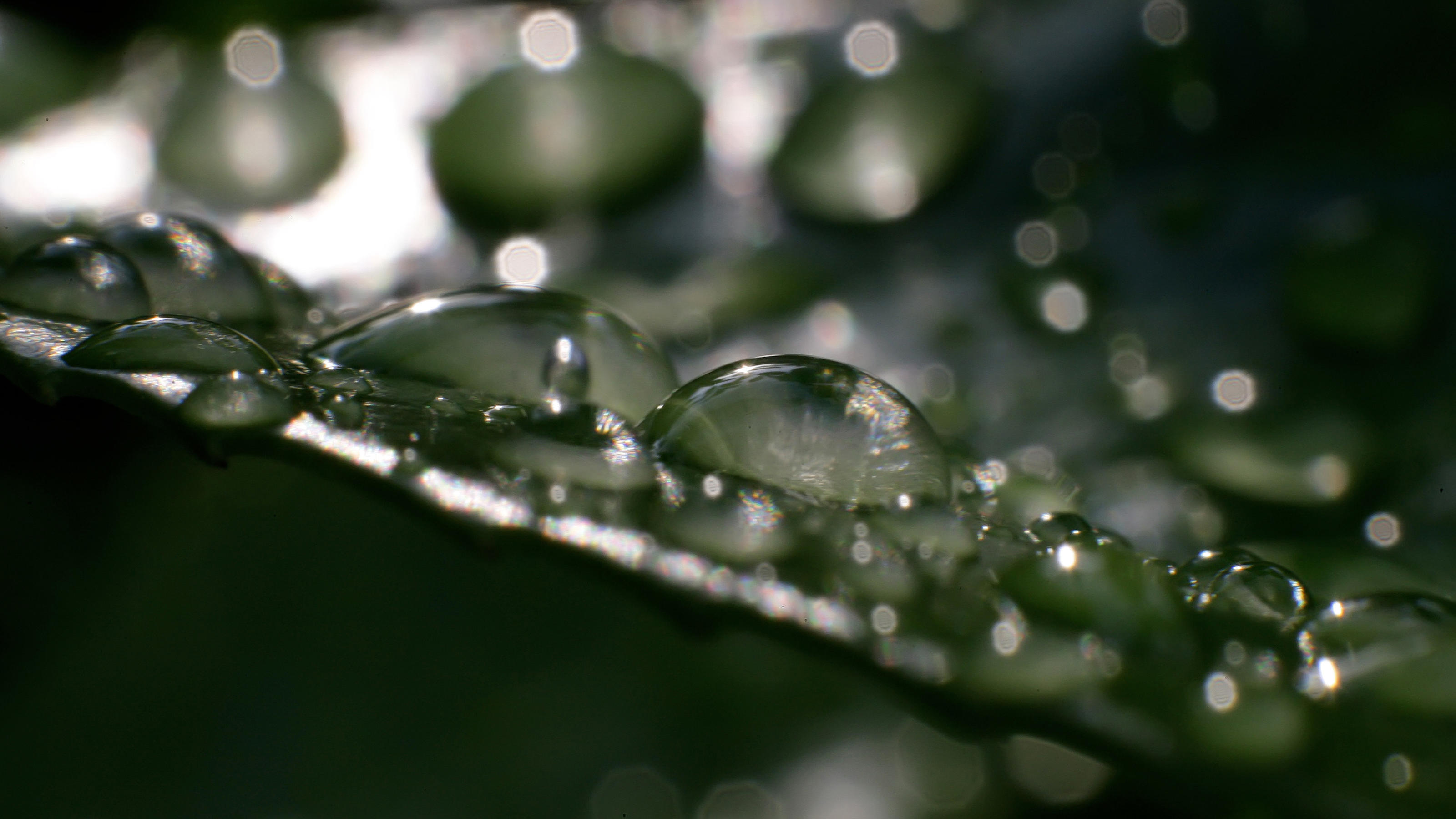 Wetterlexikon: Spread Wetterlexikon: Spread