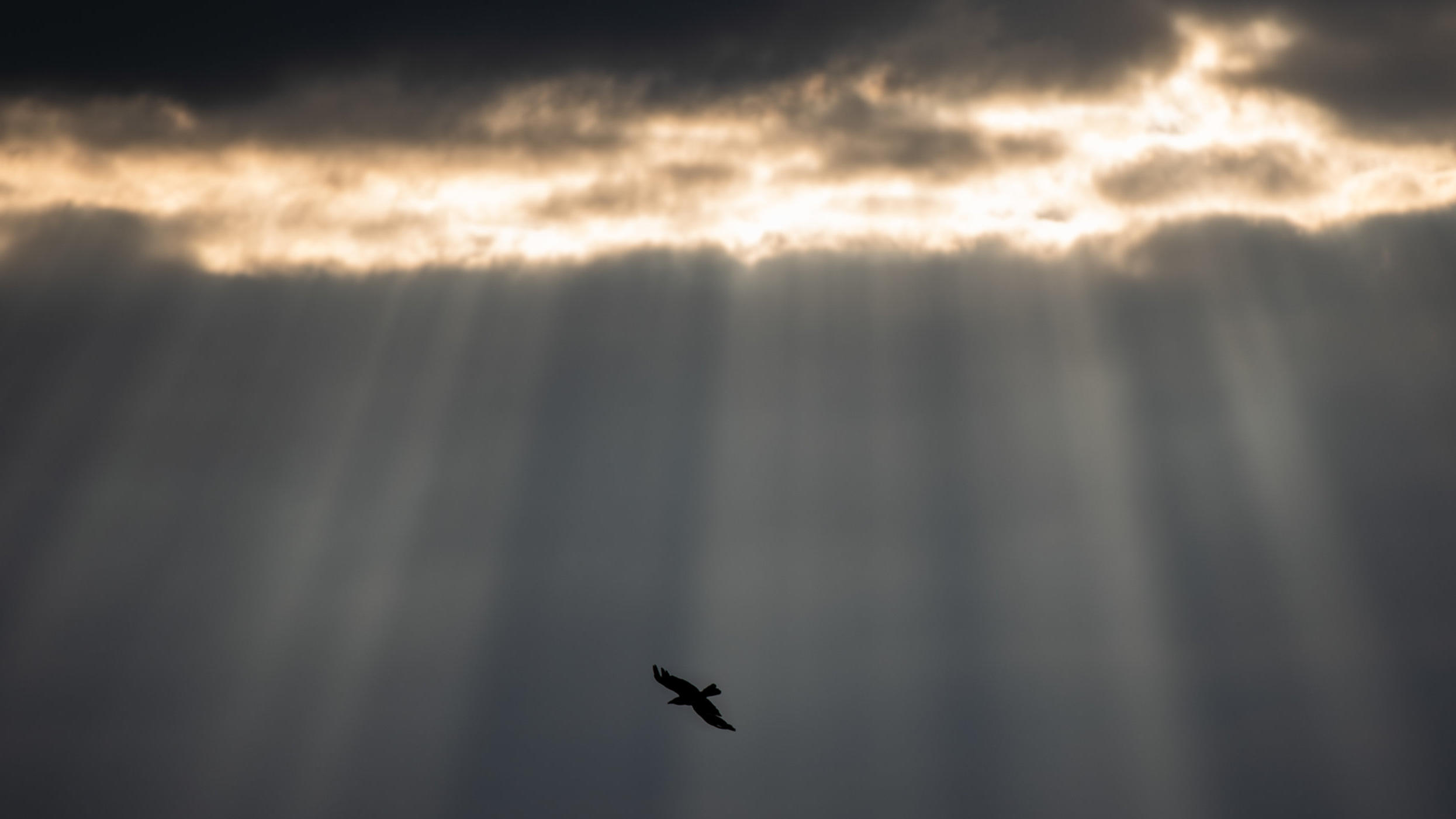 Eisheilige beginnen kühl und enden angenehm 06.05.2019, Bayern, Wiesenthau: Dohlen fliegen am Walbera durch die Lichtstrahlen eines Wolkenrisses. Foto: Nicolas Armer/dpa +++ dpa-Bildfunk +++