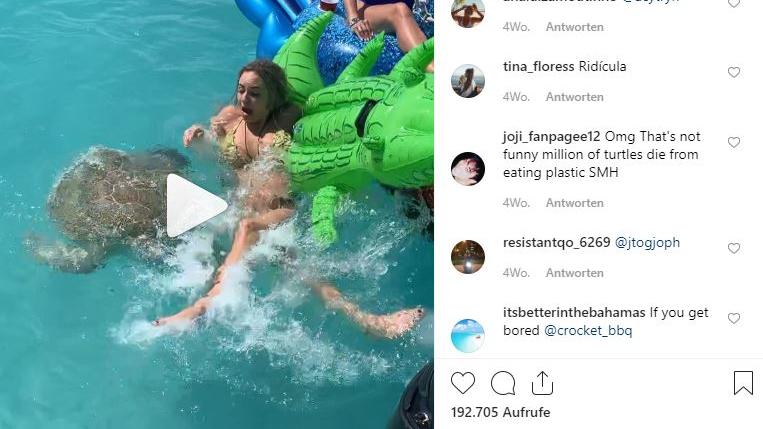 Schildkröte attackiert Bikini-Girl auf Luftmatratze Junge Frau mit Schildkröte auf den Bahamas