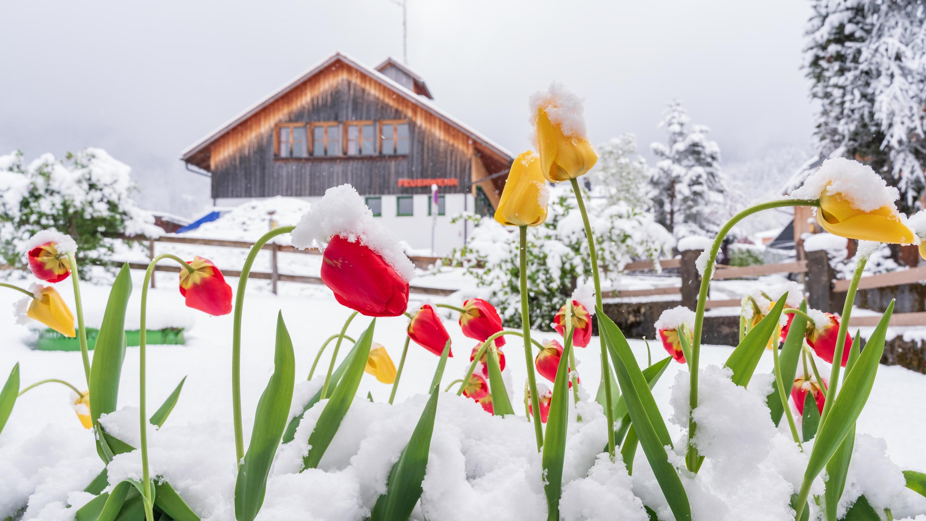 Wettervorhersage Mai 2021: Sommer & Winter - der Wonnemonat kann alles Das Wetter im Mai pendelt zwischen Winter, Frühling und Sommer.