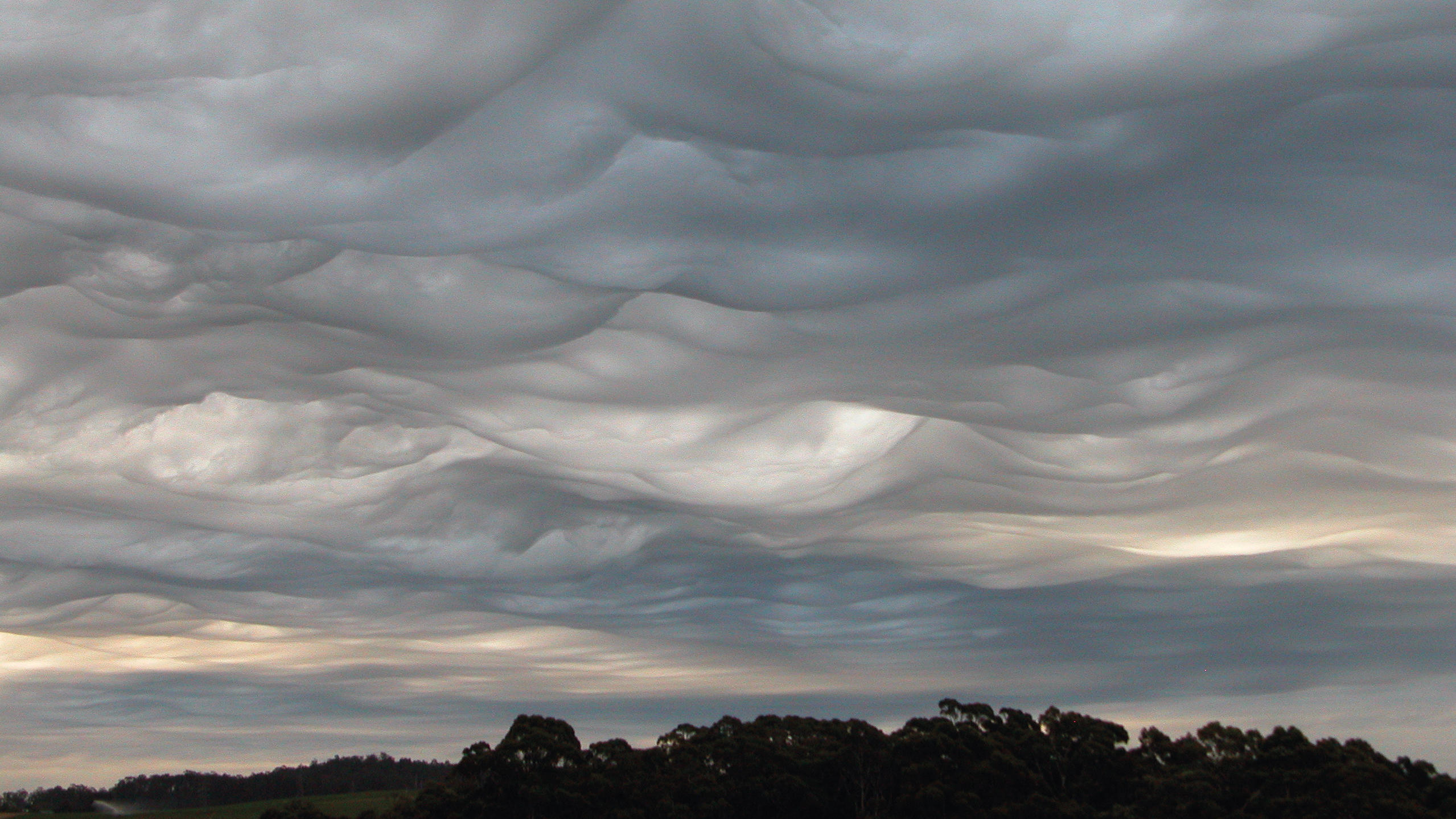 Wetterlexikon: Wolkenatlas Undulatus asperatus