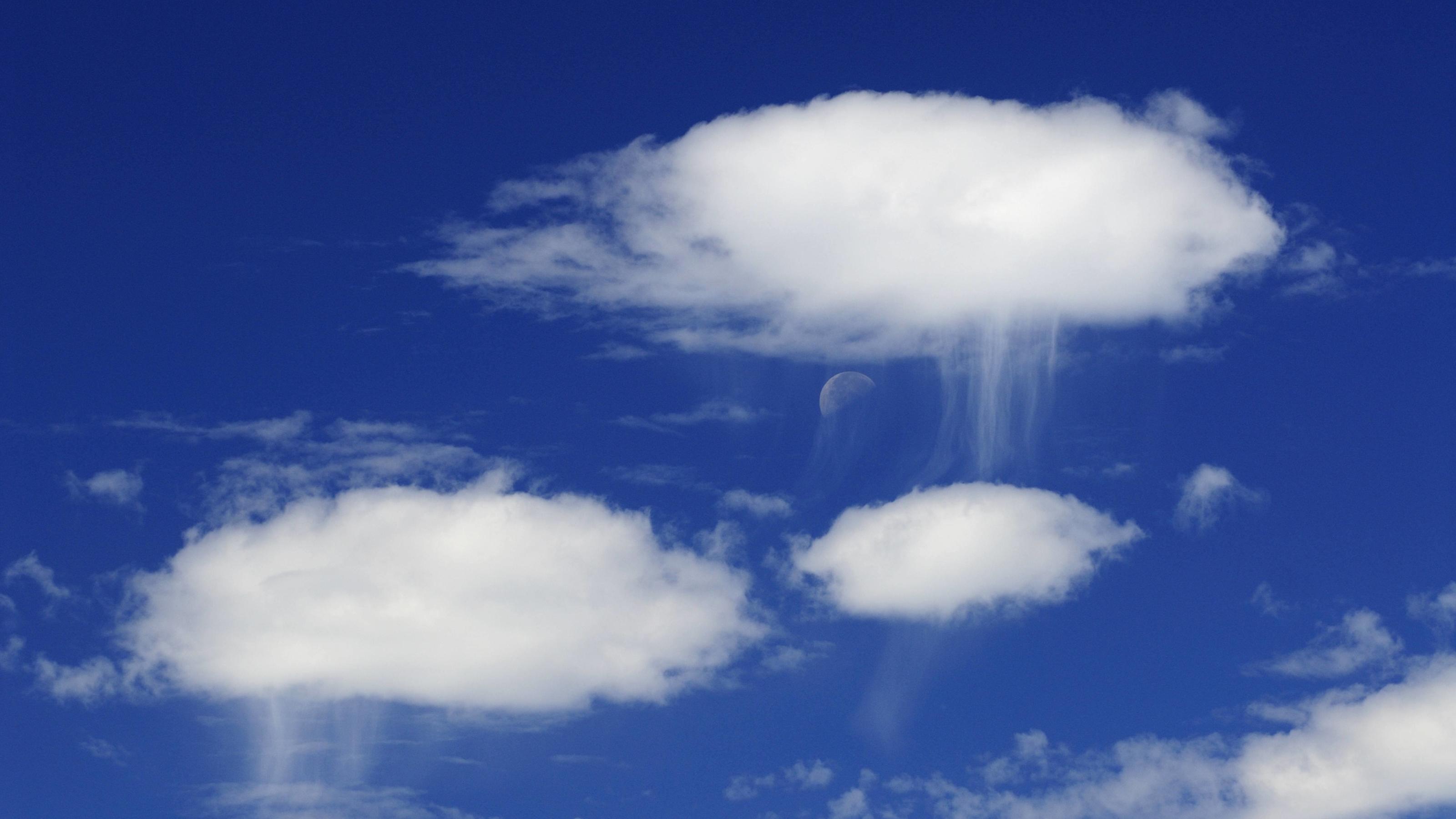 Wetterlexikon: Virga Wetterlexikon: Virga