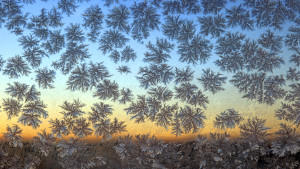 Kondenswasser: Wenn Fenster schwitzen Mit Eisblumen bedeckt ist eine Fensterscheibe am Freitag (21.12.2007) kurz vor Sonnenaufgang bei Ruderatshofen (Schwaben). Nebel und Frost in den Niederungen, sowie Sonne und mildere Temperaturen in den höheren Lagen, bestimmen weiterhin das Wetter i