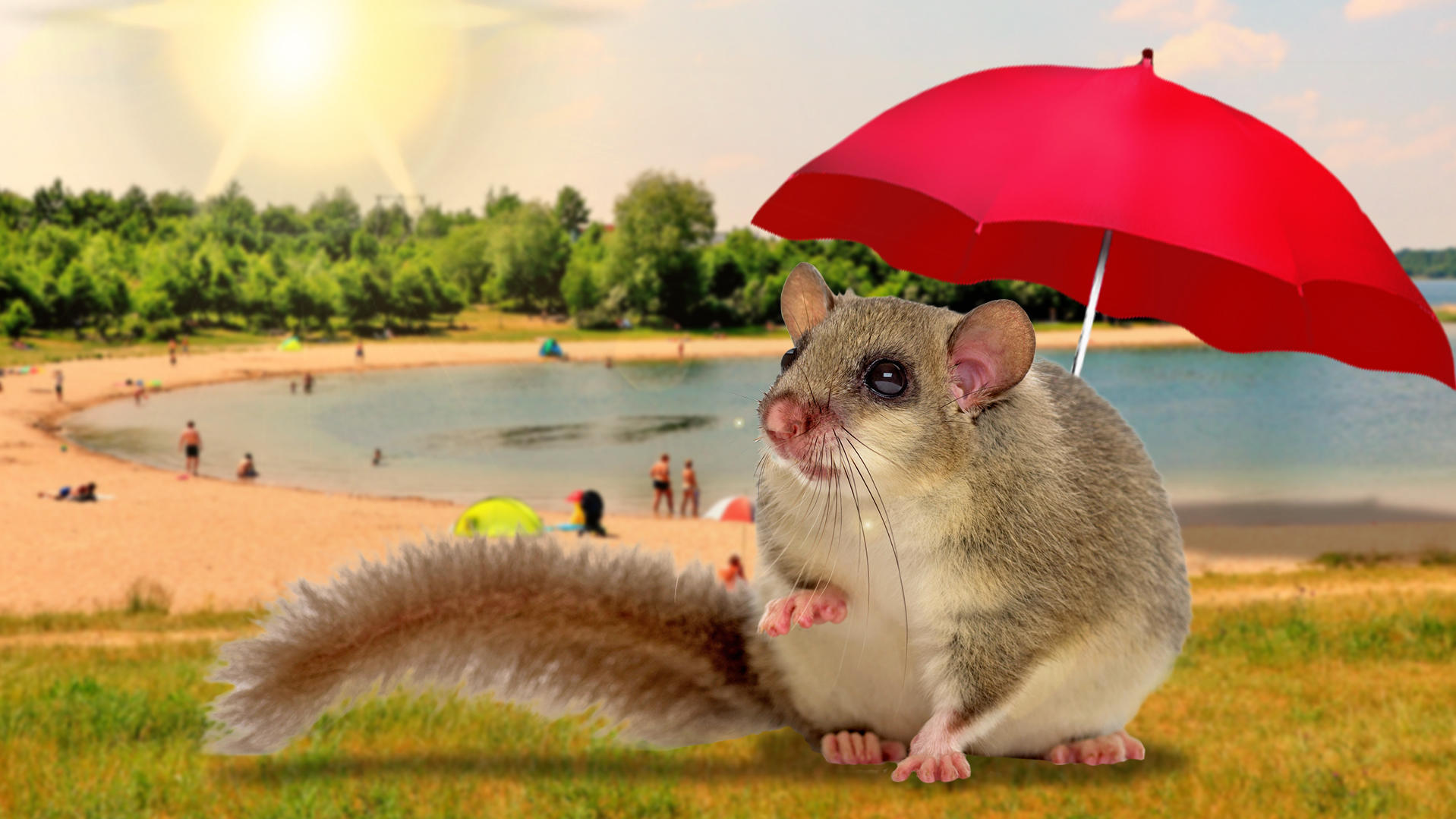 Der Siebenschläfertag am 27. Juni und das Wetter im Sommer Wie wird das Wetter am Siebenschläfer in Deutschland?