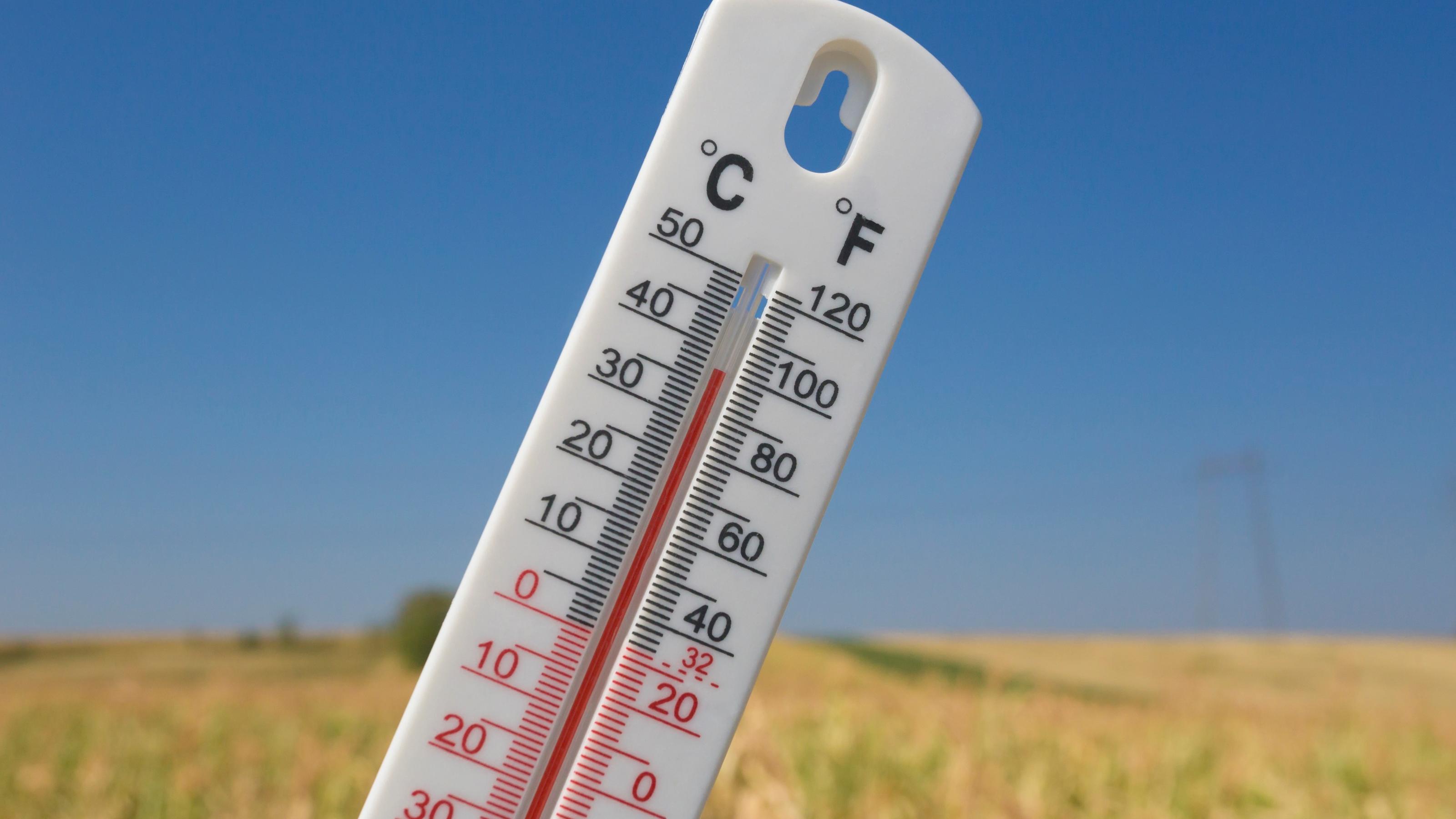Der Wetter.de Wetter-Ticker photo is taken on very hot summer day