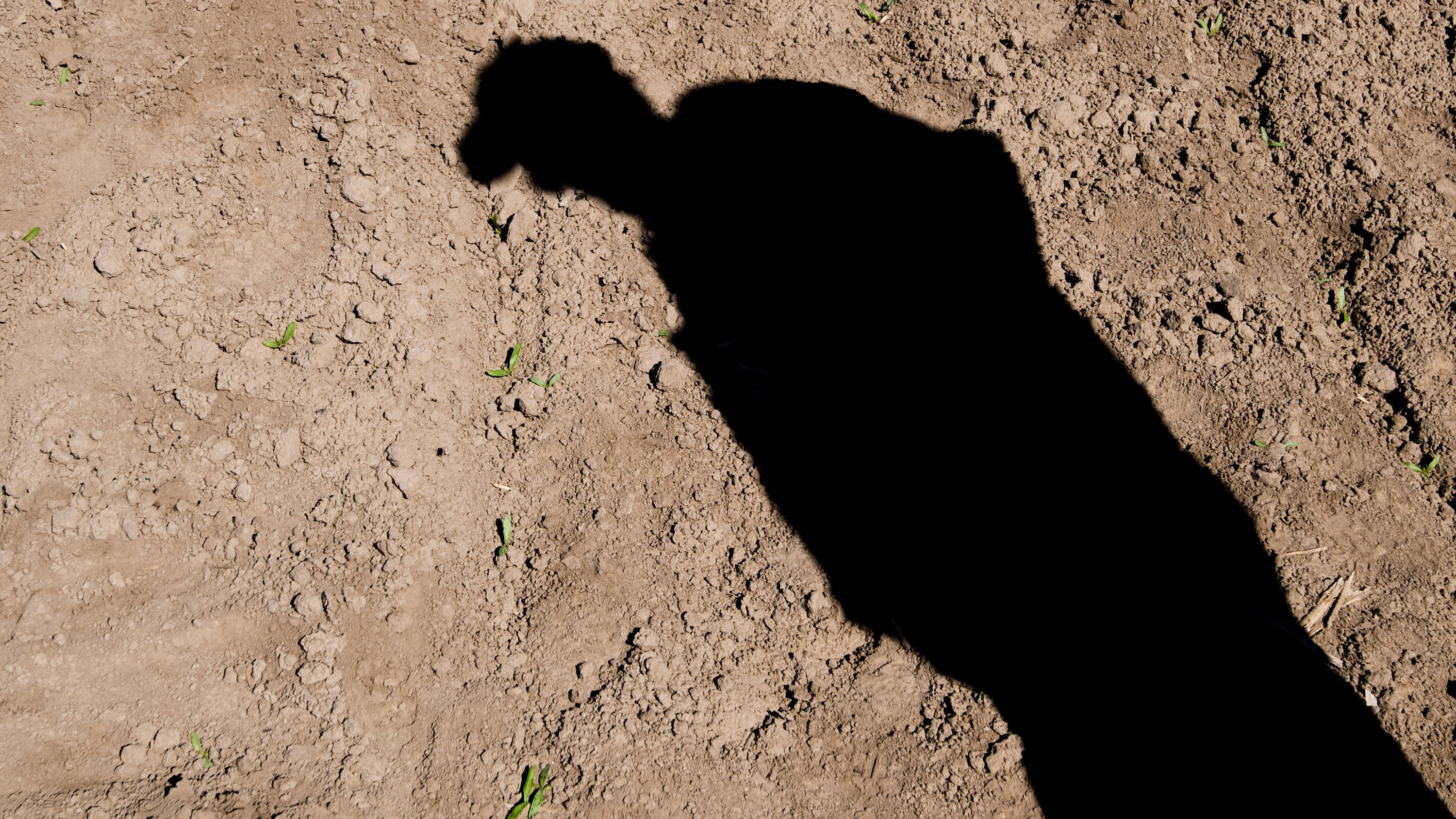 Dürre in Deutschland: Trockene Aussichten für April ARCHIV - 25.04.2019, Niedersachsen, Giesen: Der Schatten eines Landwirts fällt in der Mittagssonne auf ein Feld im Landkreis Hildesheim. Nach der Dürre im vergangenen Jahr hoffen die deutschen Landwirte wieder auf eine reichere Ernte. Foto: Julian St