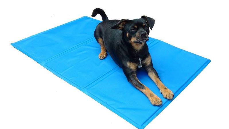 Kühlmatten für Hunde: Schnelle Hilfe fürs Haustier bei Hitze Kühlmatte für Hund