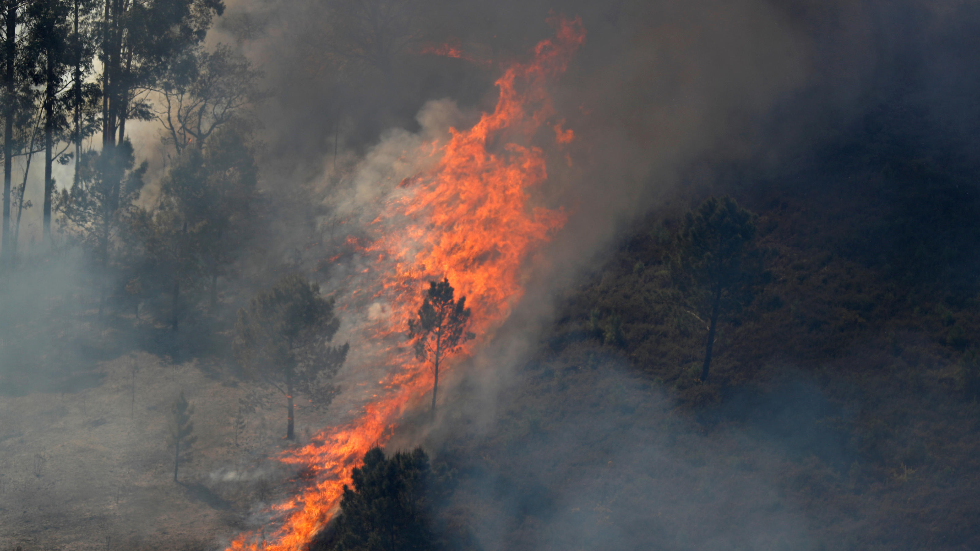 Schwere Waldbrände im Zentrum Portugals FILE PHOTO: Flames of an approaching forest fire are seen near the small village of Gondomil, near Valenca, Portugal March 27, 2019. REUTERS/Rafael Marchante/File Photo