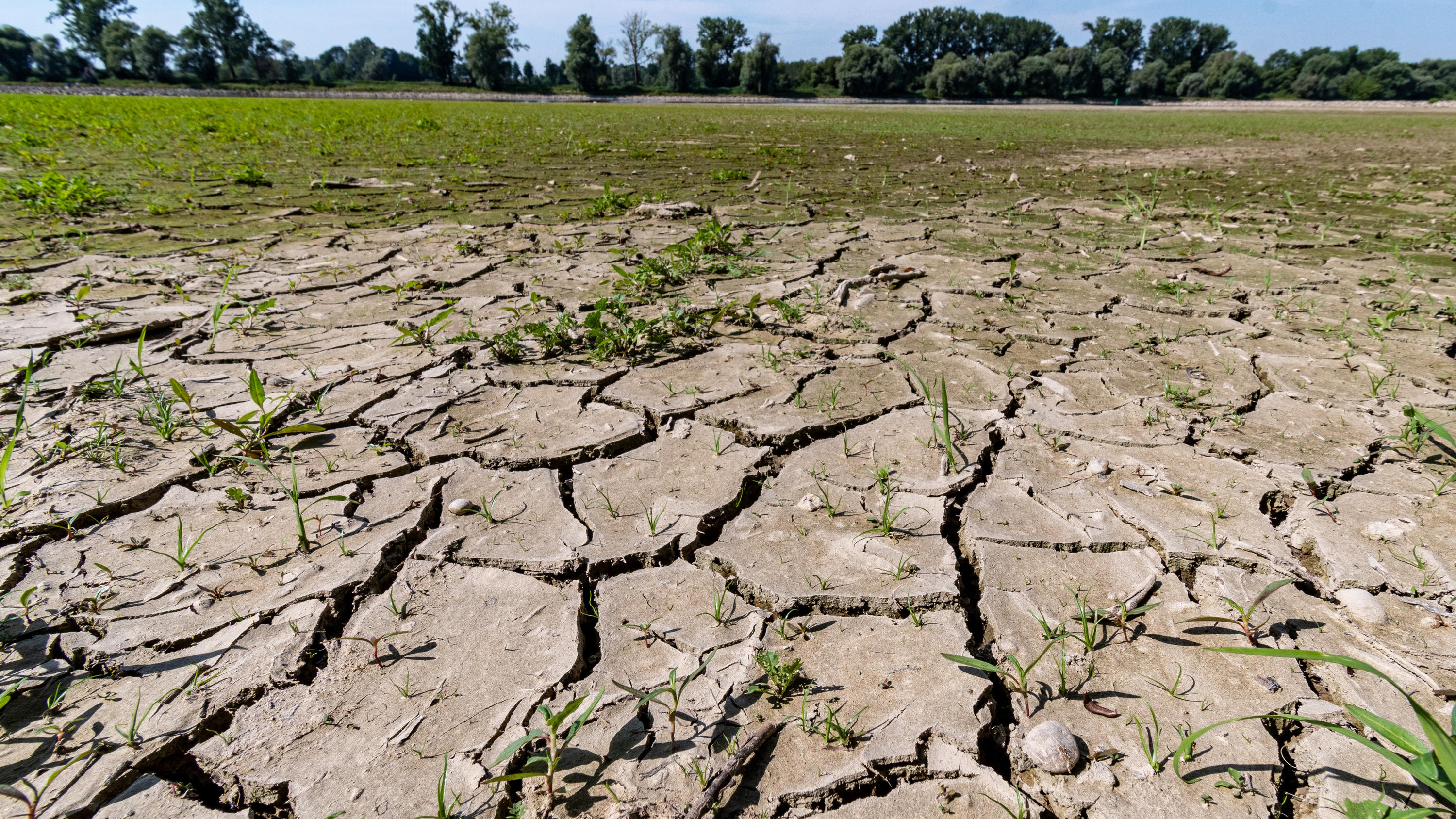 50 Grad in Kanada: Sind solche Temperaturen bei uns möglich? 2019 wurde es richtig heiß in Deutschland. So hohe Temperaturen könnten uns jetzt häufiger erwarten.