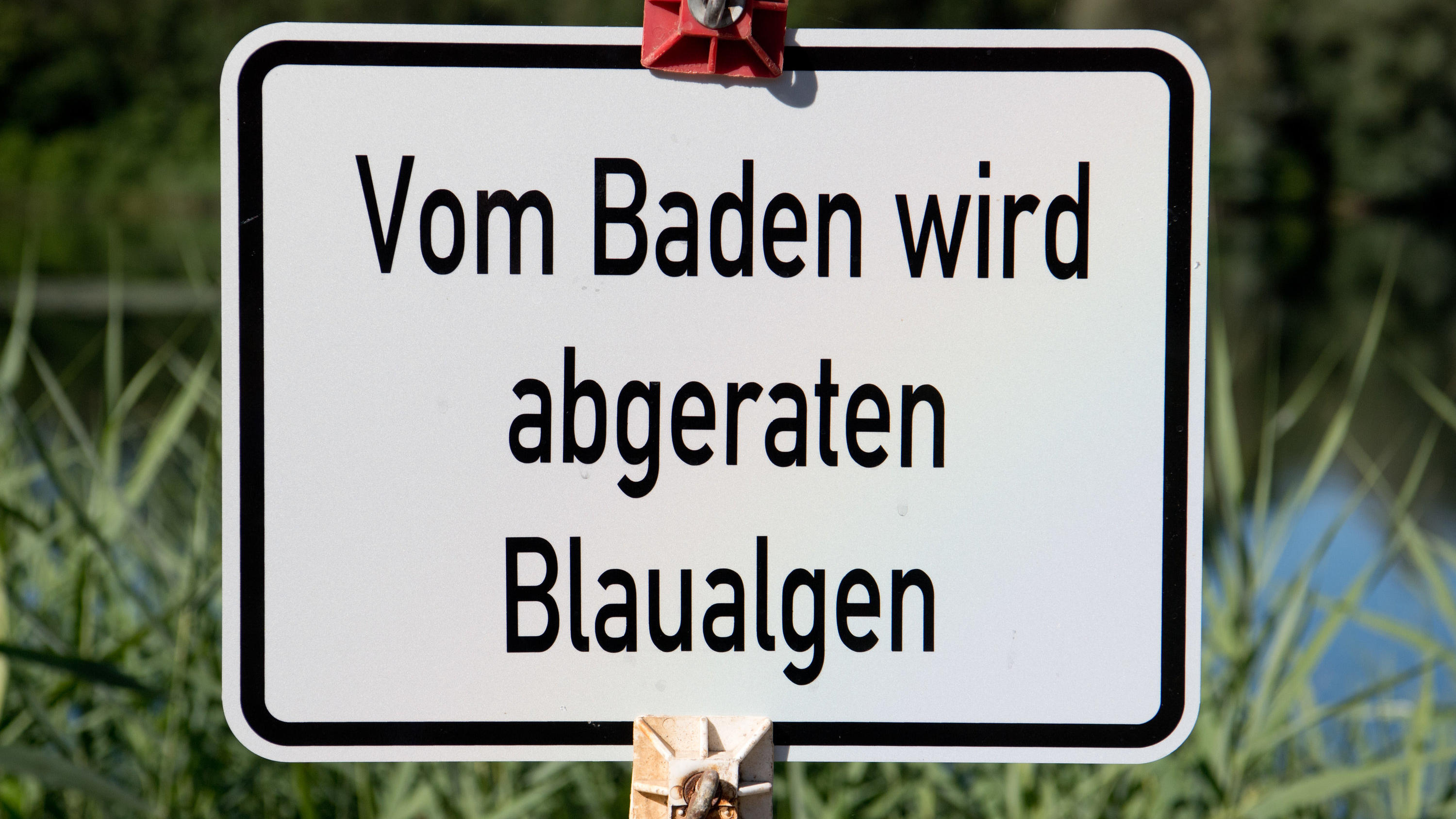 Wenn Blaualgen den Badespaß trüben: Schwindel, Erbrechen und Durchfall sind möglich ARCHIV - 03.07.2018, Niedersachsen, Hildesheim: Ein Schild «Vom Baden wird abgeraten - Blaualgen» steht am Hohnsensee. Giftige Blaualgen verhindern an mehreren Seen in Niedersachsen den hochsommerlichen Badespaß. An vier Badestellen haben die Behörde
