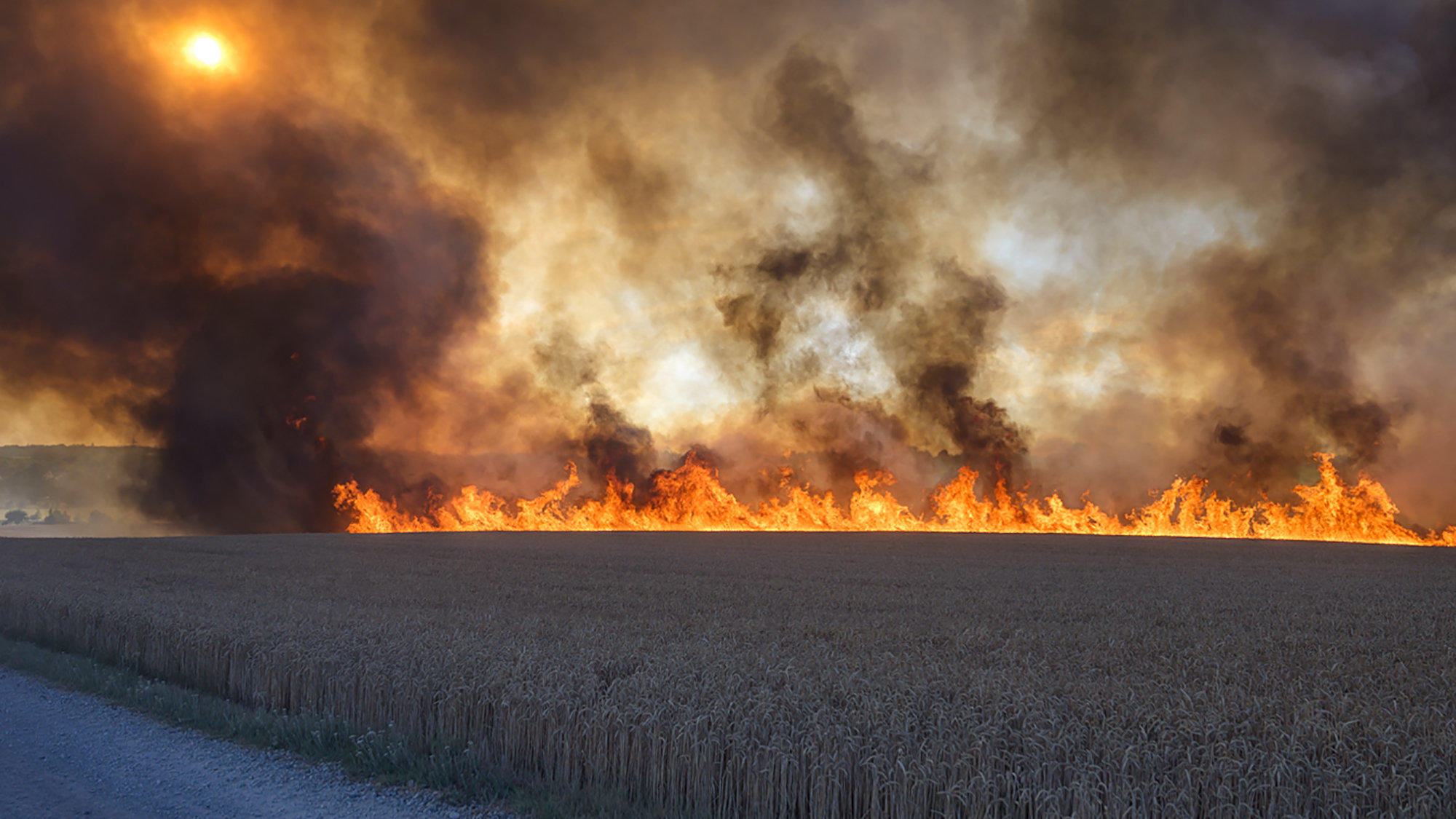 April macht was er will – nur anders 26.07.2019, Thüringen, Kromsdorf: Ein Feld brennt lichterloh bei Kromsdorf (Landkreis Weimarer Land). Die Feuerwehr konnte ein Übergreifen des Feuers auf benachbarte Häuser verhindern. Foto: Johannes Krey/dpa-Zentralbild/dpa +++ dpa-Bildfunk +++
