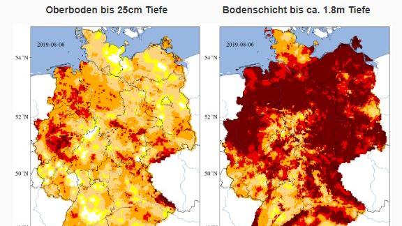 Folgen von Dürre und Hitzewelle: Den Bauern geht das Futter aus Unbenannt