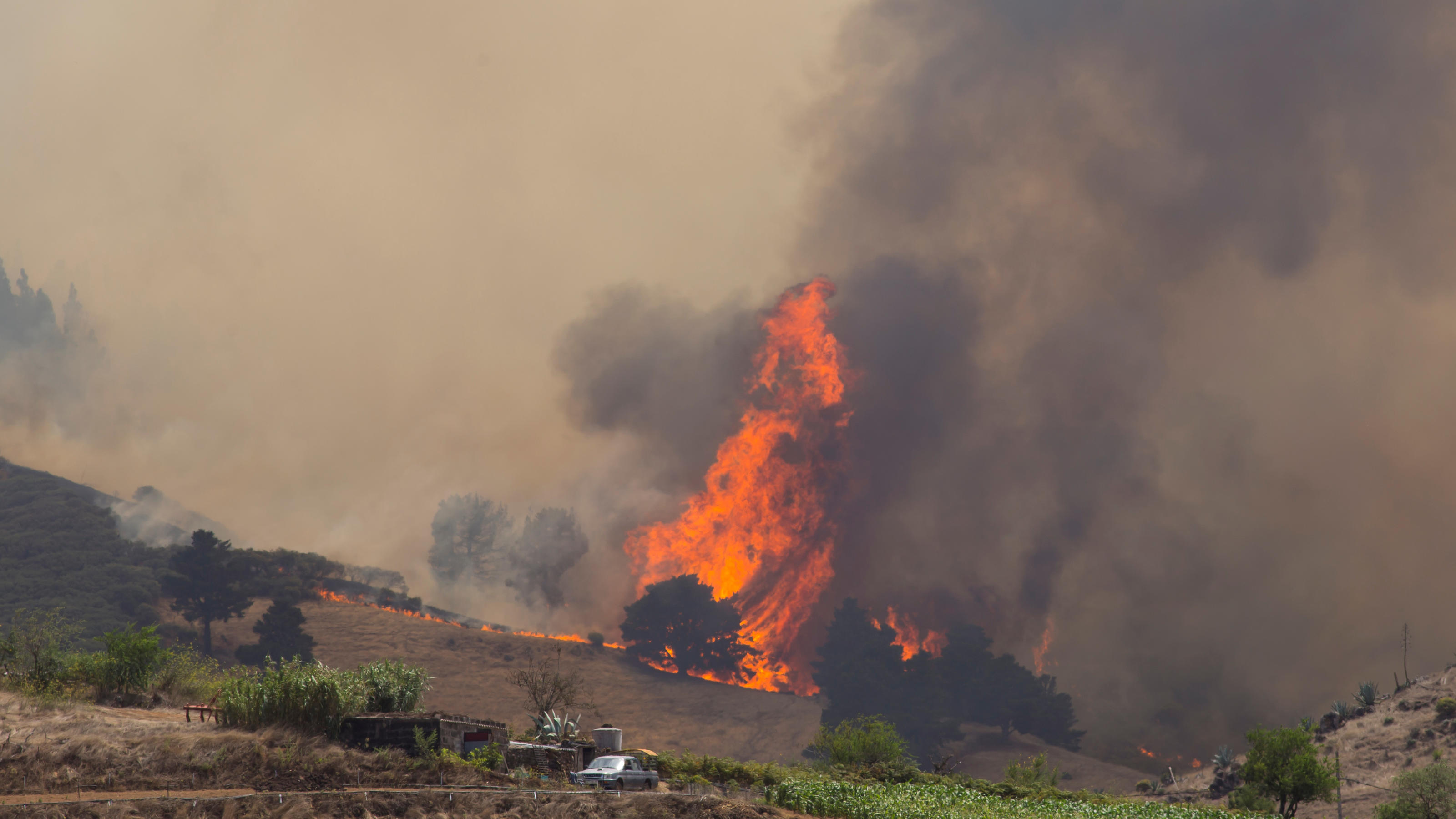 Waldbrand auf Gran Canaria wütet weiter - Extrem „aggressives" Feuer Flames and smoke from a forest fire are seen in the village of Galdar on the Canary Island of Gran Canaria, Spain, August 18, 2019. REUTERS/Borja Suarez