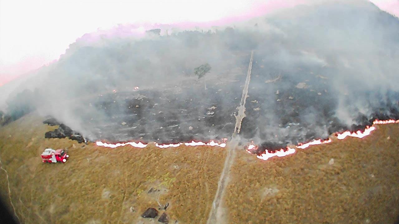 RTL-Wetterexperte Oliver Scheel: "Wir brauchen den Regenwald zum Überleben" Brasilien, Mato Grosso: Auf diesem von der Feuerwehr zur Verfügung gestellten Bild steigen Rauchwolken aus den Feldern auf, während Löscharbeiten durchgeführt werden. In Brasilien wüten die schwersten Waldbrände seit Jahren.
