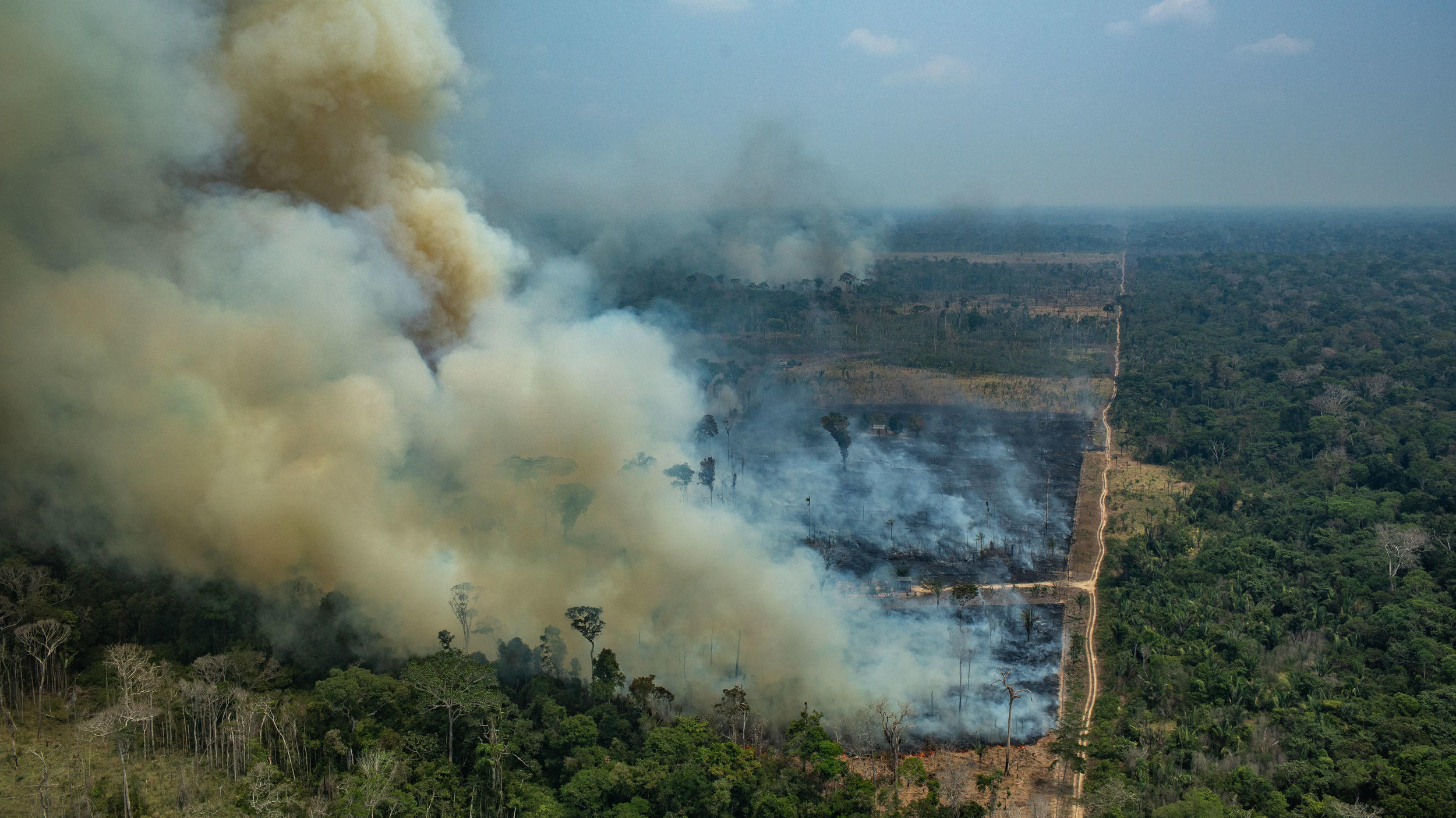 Amazonas stößt mehr Treibhausgase aus, als er speichert Amazonas: Die Brände tragen zur Klimaerwärmung bei.