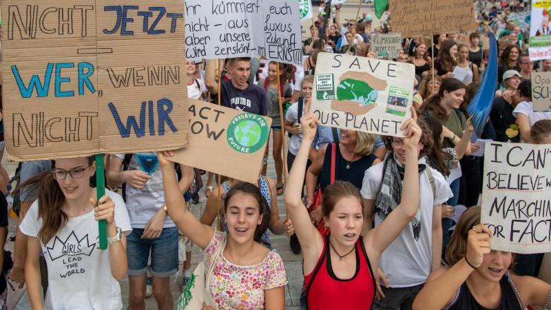 Wie Schulen Kids für den Klimaschutz fit machen Fridays for Future in Potsdam