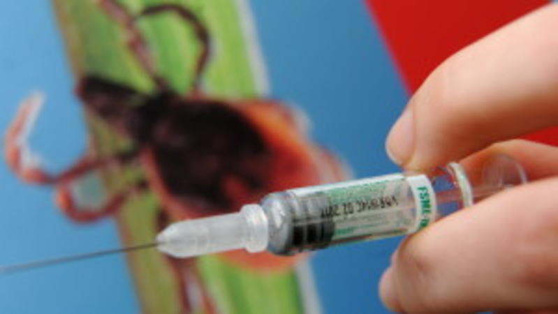 Gefährliche Zeckenbisse: So können Sie sich vor FSME und Borreliose schützen Mit dem Impfstoff gegen FSME sind sie bis zu fünf Jahre geschützt.