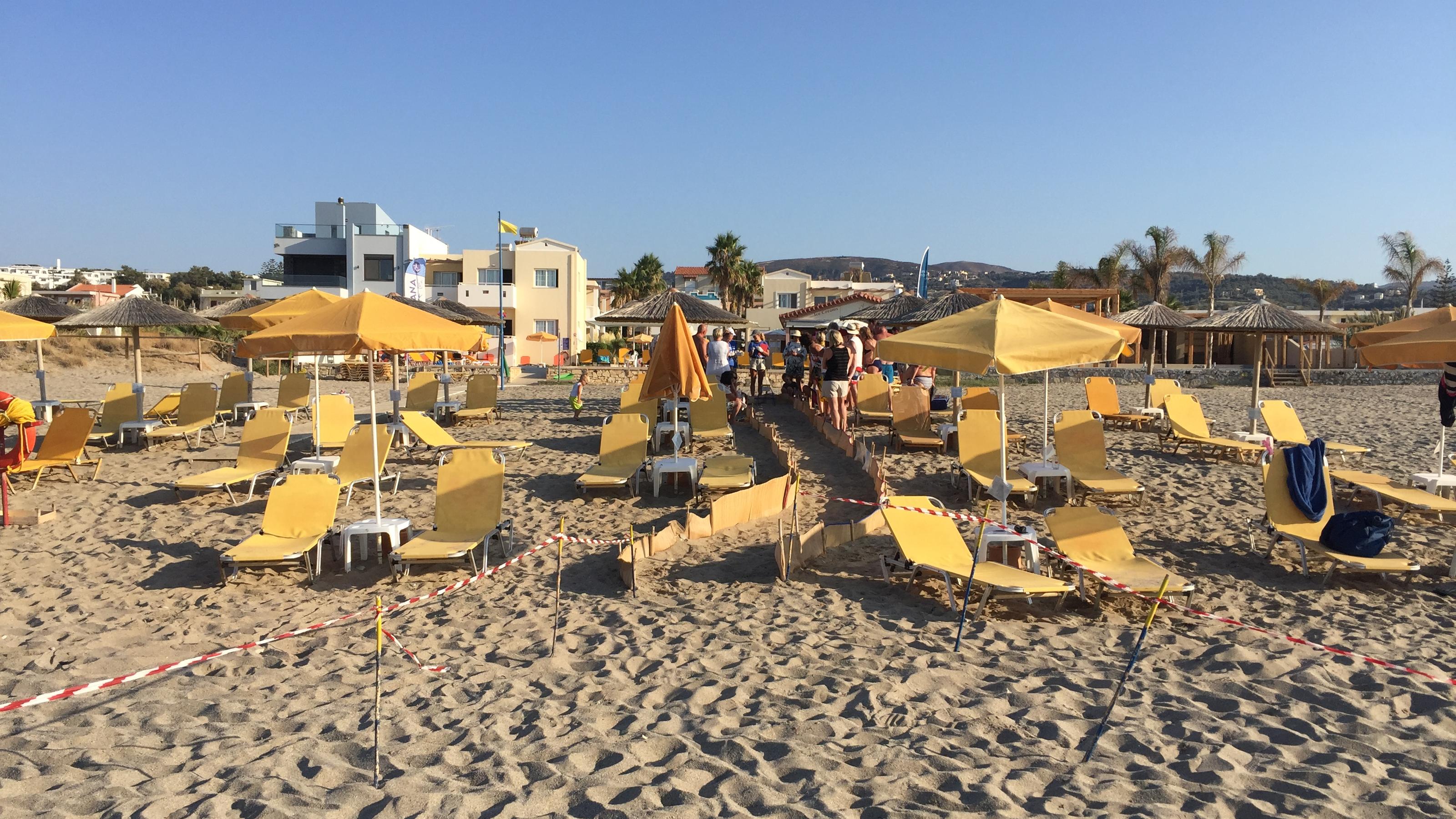 So beginnt die Urlaubssaison auf Kreta mit Corona Meeresschildkröten Aktion auf Kreta