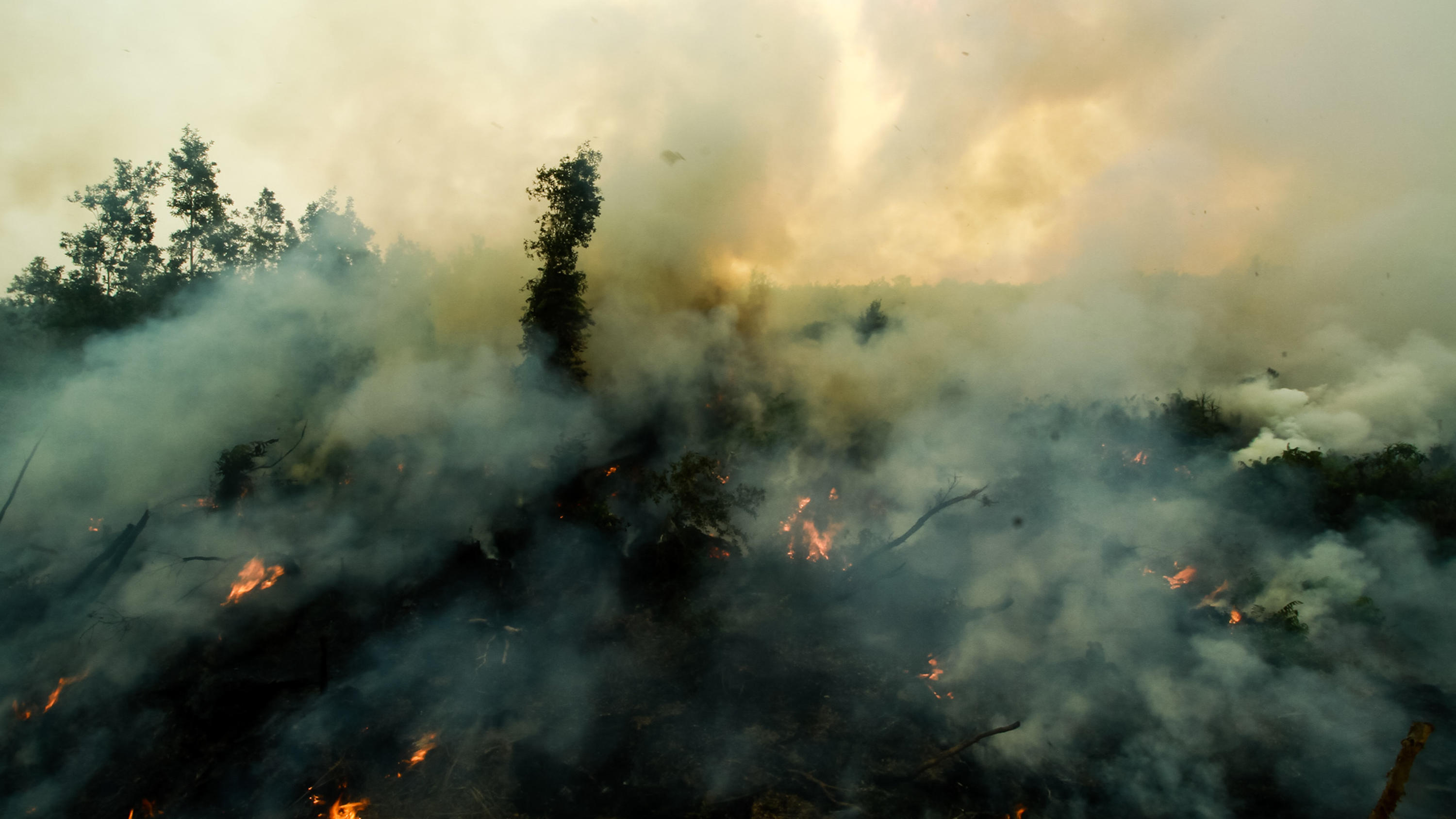 Dicke Luft in Singapur - Sorge um Formel- 1-GP A view of forest fire at Soak Bato village on September 9, 2019 in Ogan ilir regency, South Sumatra province, Indonesia. Forest fires caused parts of Sumatra to be covered with haze and included Singapore and Malaysia. (Credit Image: © Sijori Images