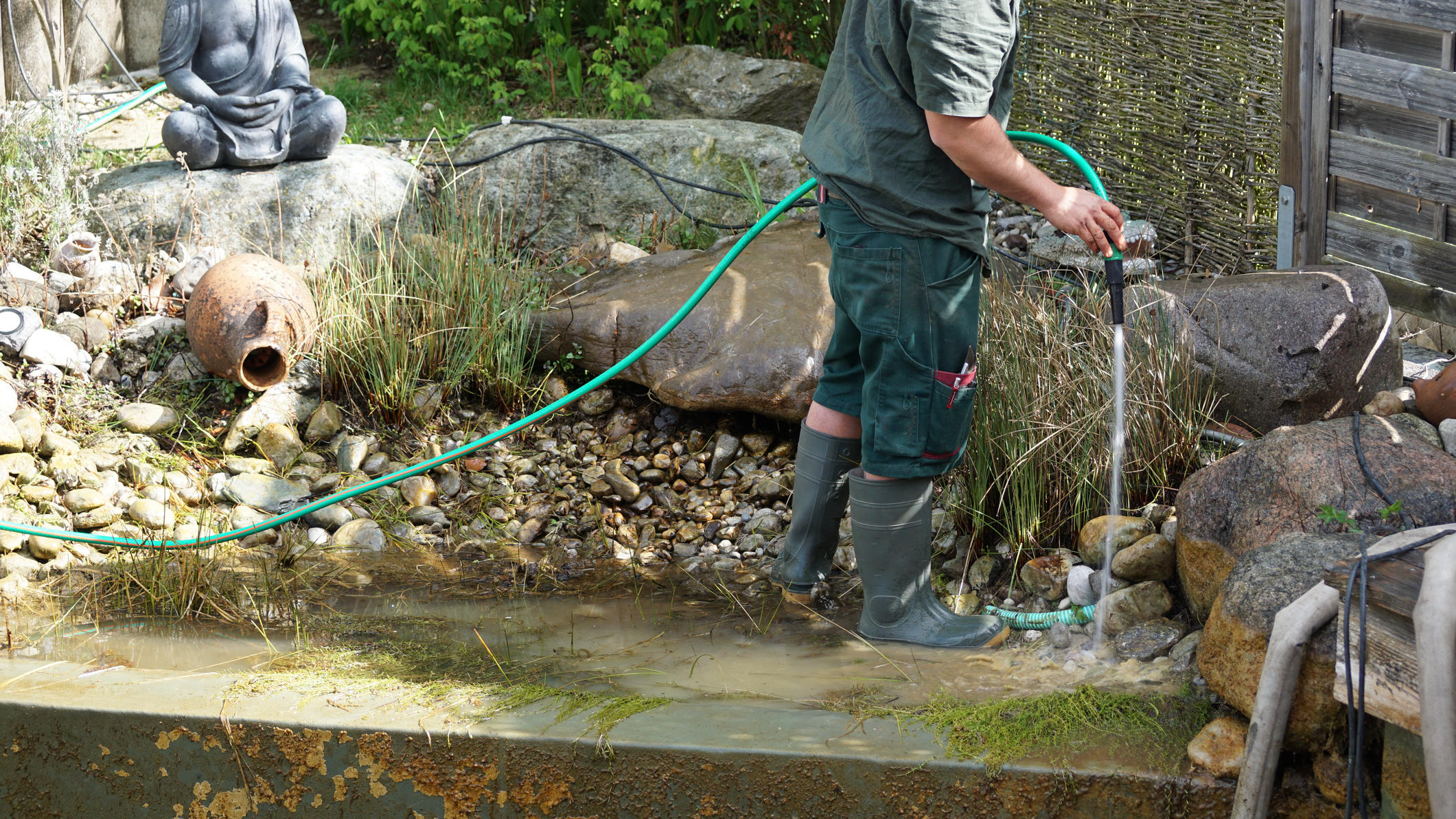 Blätter aus Teich entfernen: So klappt’s! Algen sollten im Teich nicht die Oberhand gewinnen