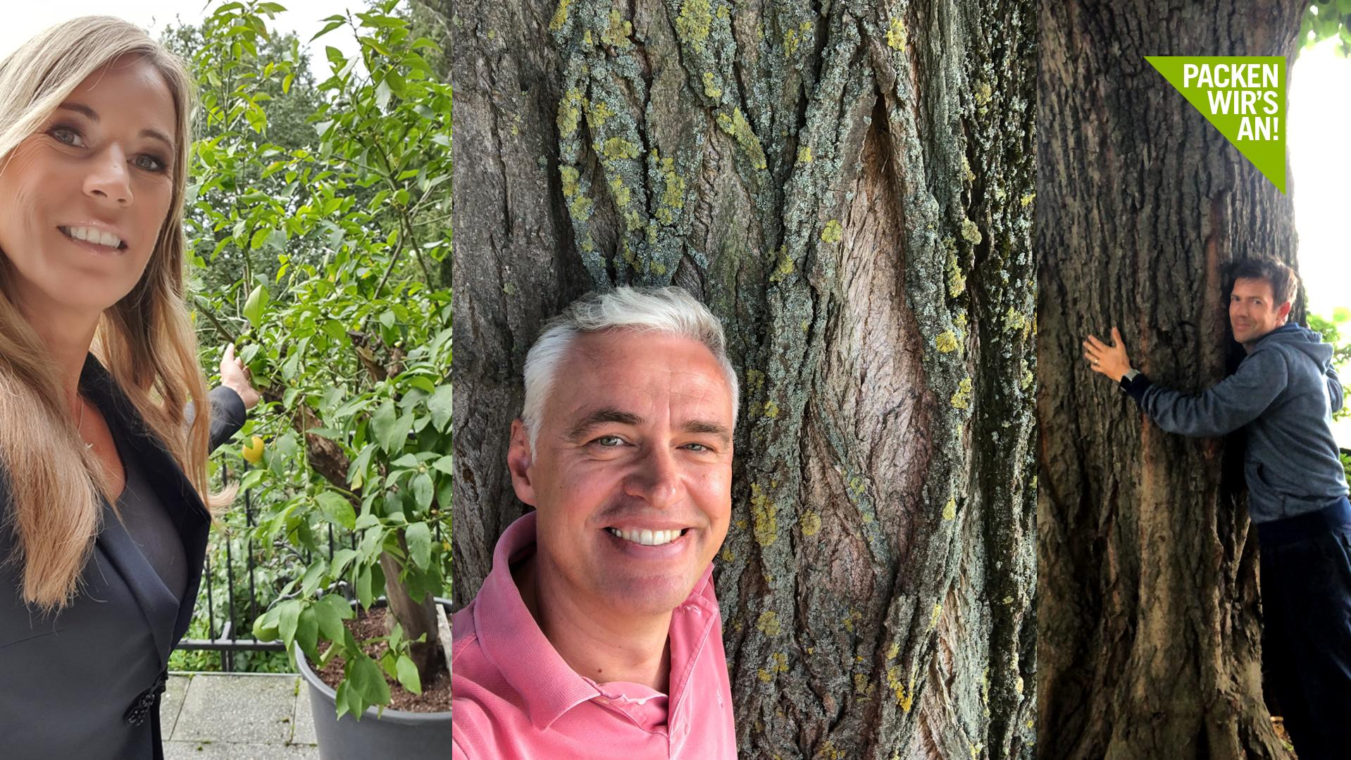#BaumBuddy: RTL-Moderator Maik Meuser und Co. danken ihrem liebsten Baum BaumBuddy