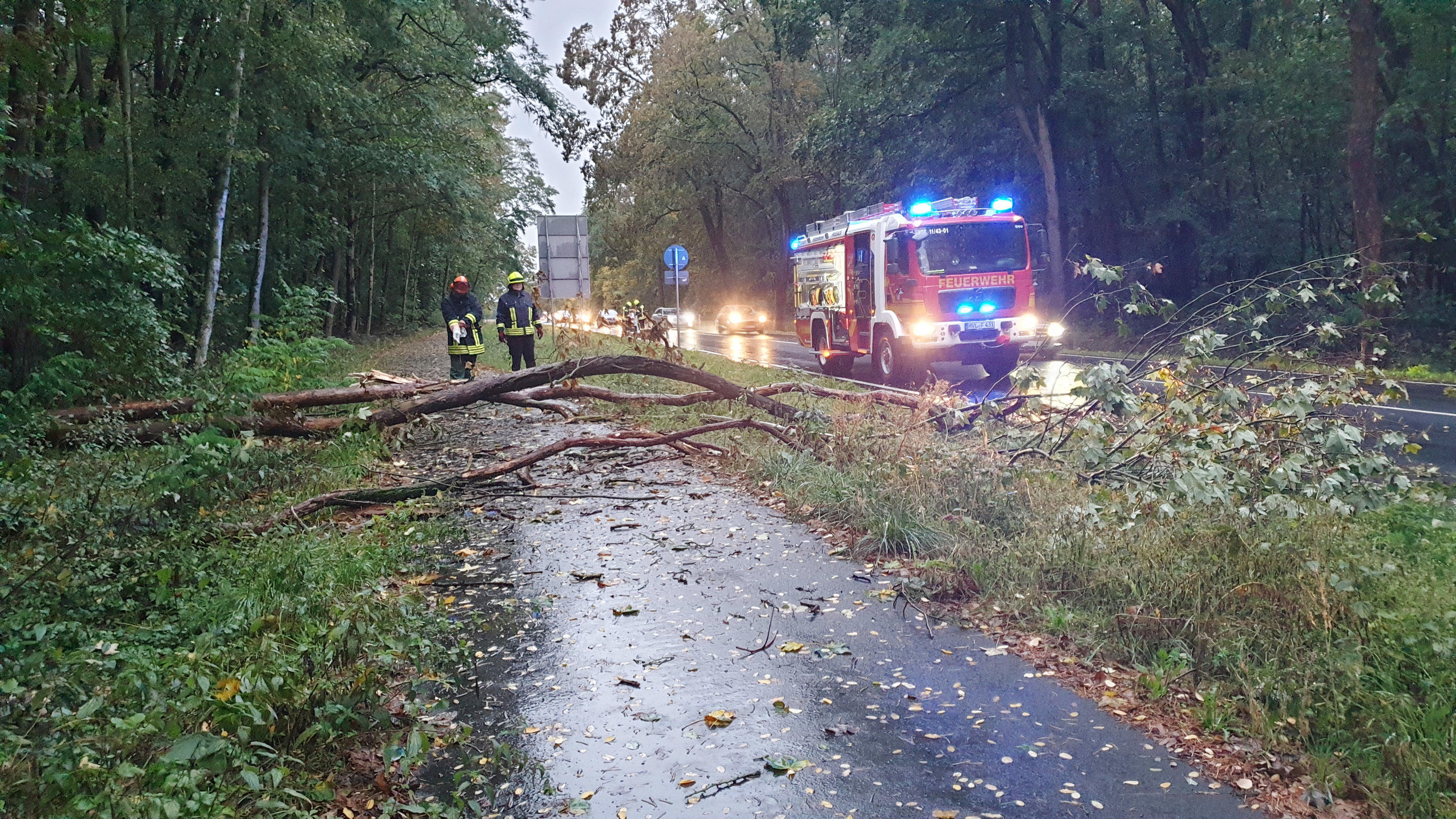 Föhnsturm kostet in Bayern einem Autofahrer das Leben 30.09.2019, Brandenburg, Friesack: Einsatzkräfte der Feuerwehr stehen an einem umgestürzten Baum. Das Sturmtief «Mortimer» sorgt für Sturmböen und Starkregen auch in Brandenburg. (zu «Sturm in Brandenburg») Foto: Julian Stähle/dpa-Zentralbild/dpa +++