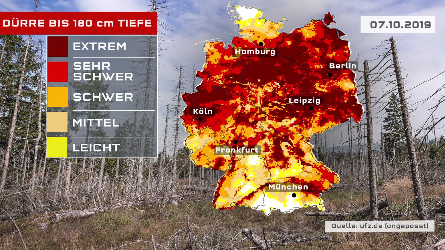 Trockenheit: Was hat der Herbst-Regen in unseren Wäldern bewirkt? Die Dürre in 180 cm Tiefe ist noch lange nicht vorbei (Bild UFZ vom 07.10.)