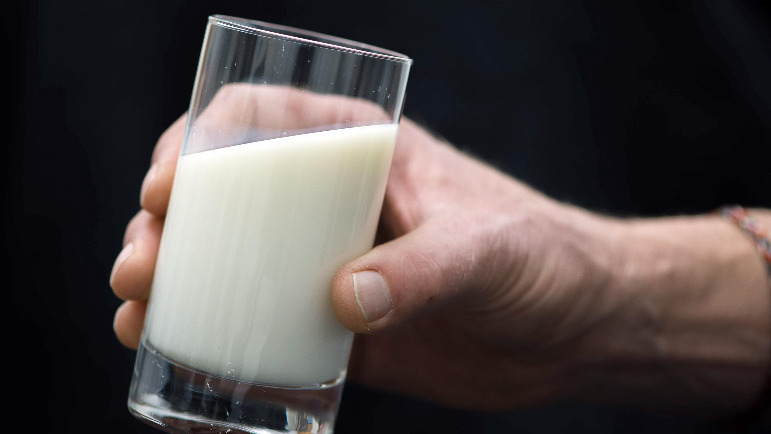 Milch ist nicht gleich Milch ARCHIV - 18.02.2016, Hamburg: ILLUSTRATION - Ein Mann hält ein Glas Milch in der Hand. Wegen möglicher Durchfallerkrankungen nehmen das Deutsche Milchkontor (DMK), die nach eigenen Angaben größte deutsche Molkereigenossenschaft, und das Unternehmen F
