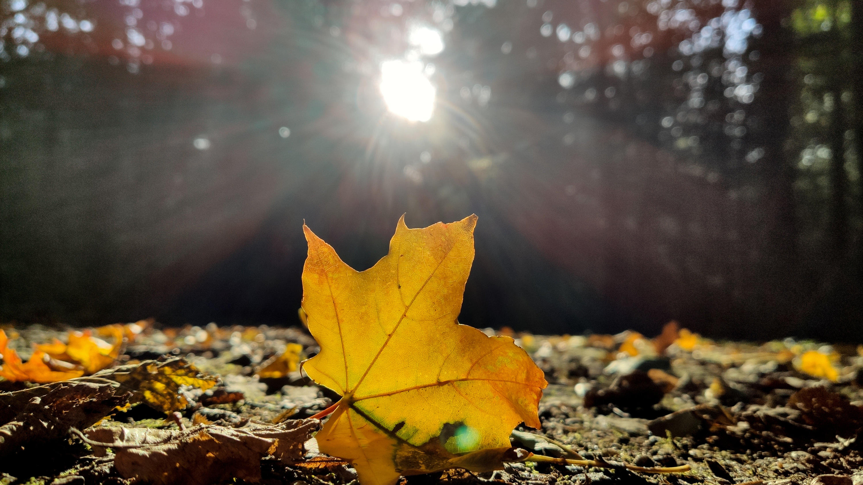 Das Wetter im Oktober: Hitze, Stürme, Wintereinbrüche Hitze im Oktober ist eher selten, 30 Grad sind aber drin.