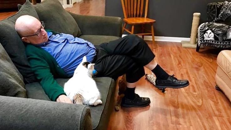 75-Jähriger hält täglich Schläfchen mit Katzen Terry Lauerman und Katze
