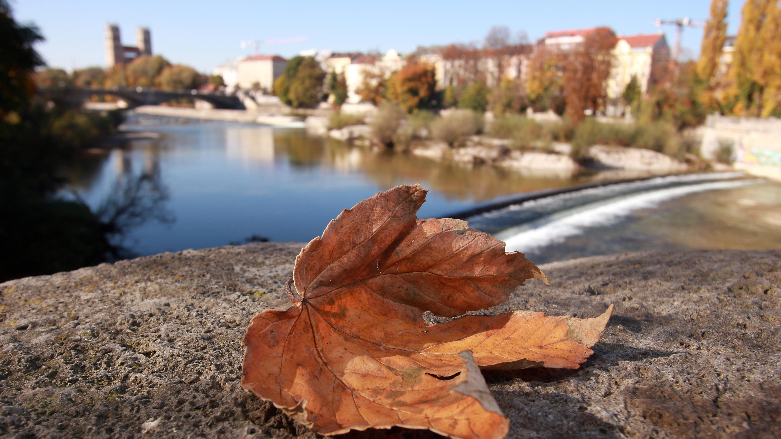 Wetter im November: 50 Grad Temperaturunterschied - das kann nur der Rekordmonat Schönes Herbstwetter in München.