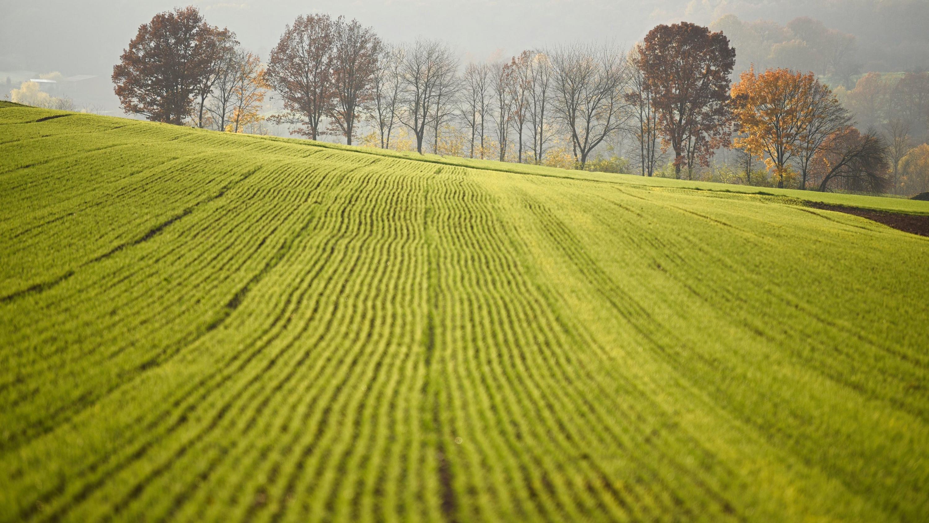 7-Tage-Wettertrend: Goldener November - das Wochenende wird mild und sonnig 20.11.2019, Bayern, Rattelsdorf: Das einfallende Sonnenlicht lässt die Wiesen und herbstlich gefärbten Blätter aufleuchten. Foto: Nicolas Armer/dpa +++ dpa-Bildfunk +++