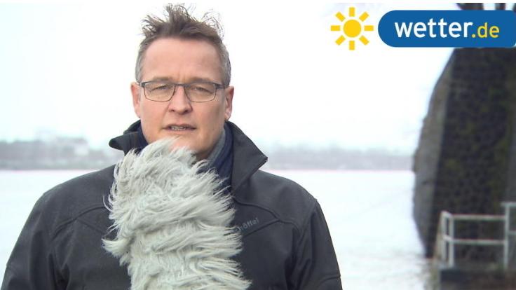 Der Wettergipfel 2019: And the winner is... fuchs.jpg