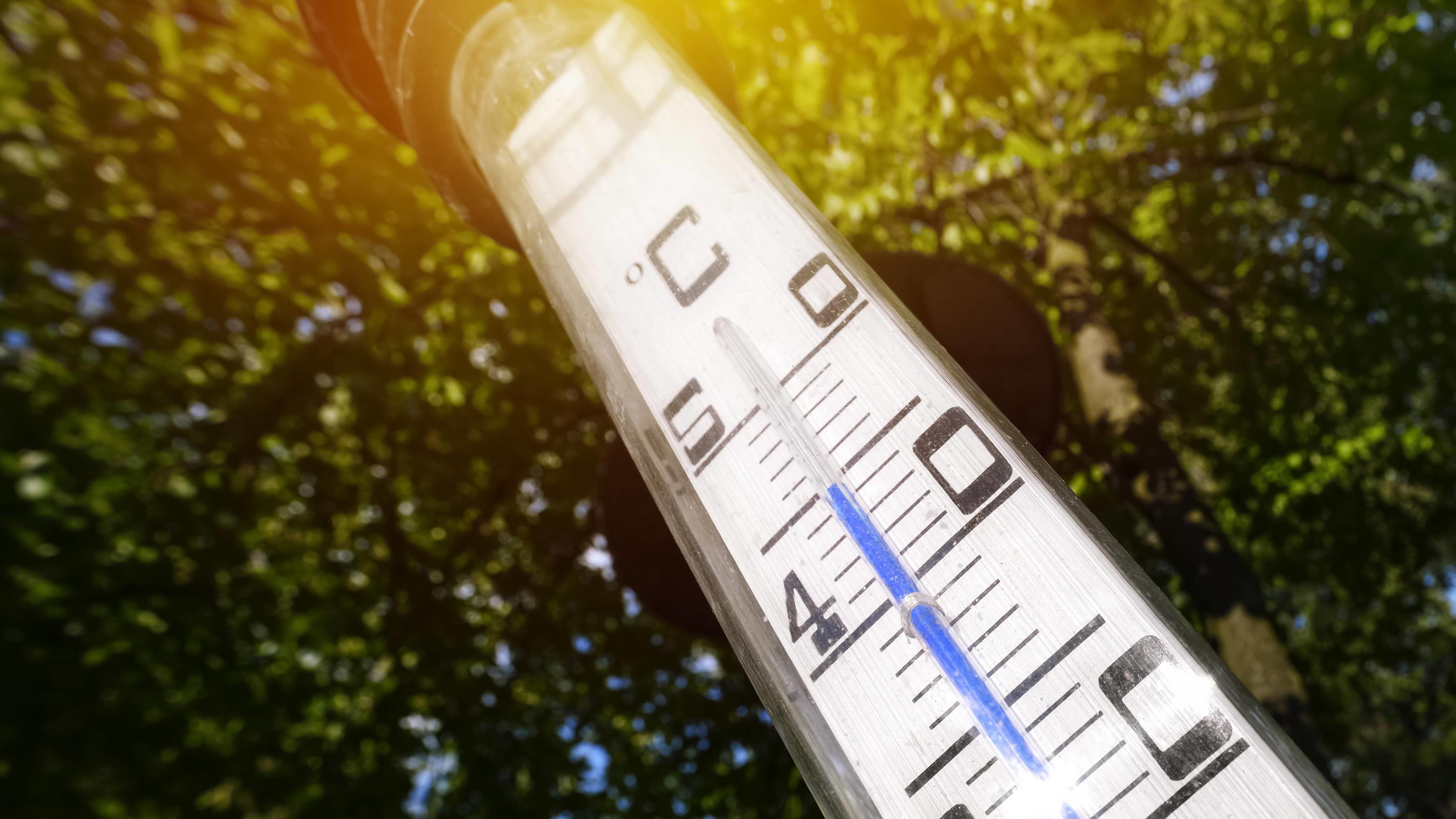 Große Hitze im Sommer 2020 auf der Nordhalbkugel? Thermometer im Garten zeigt 45°C in der Sonne, Jahrhundertsommer 2018 *** Thermometer in the garden shows 45 ° C in the sun of the summer of summer 2018
