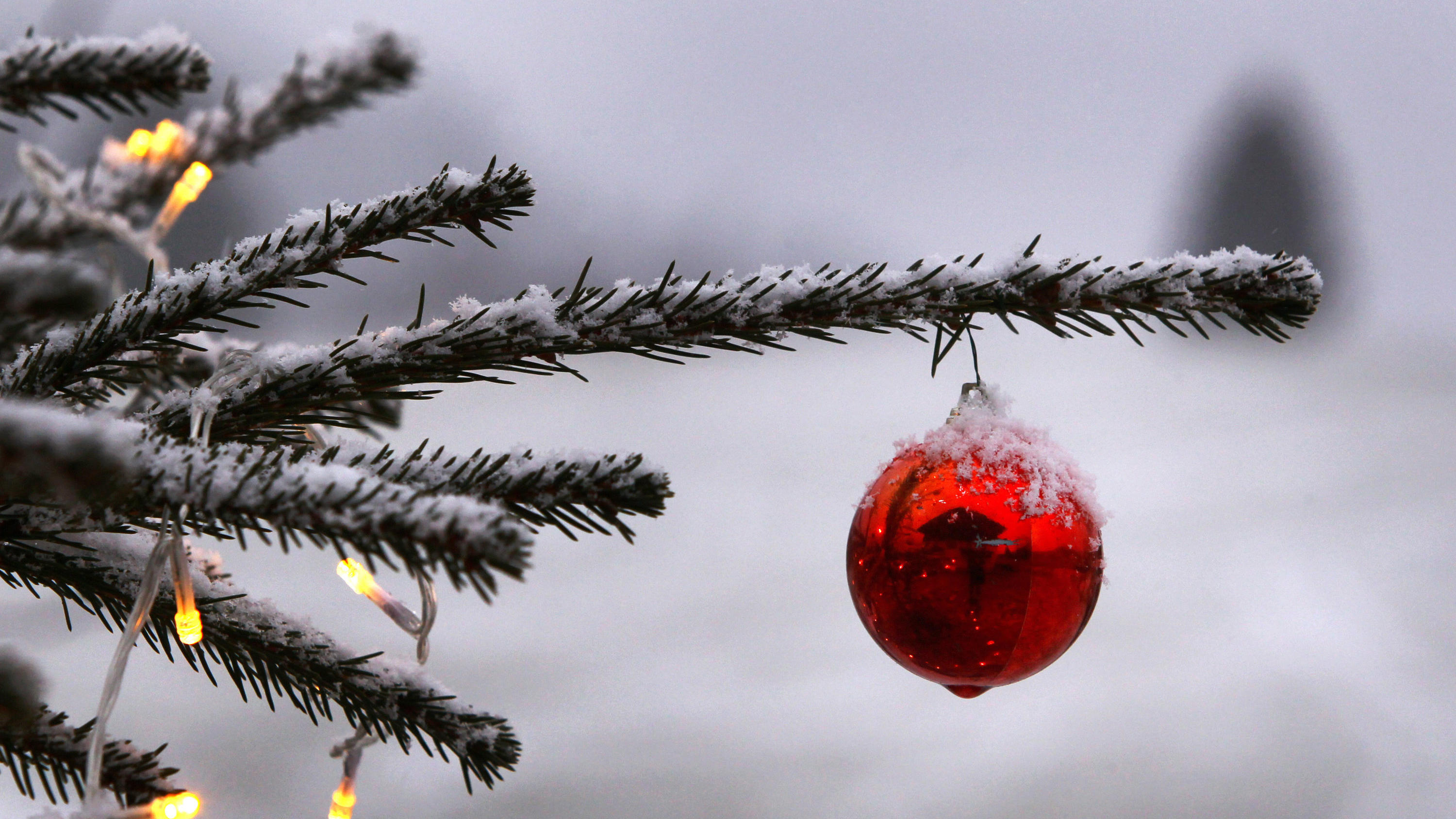 Wetterphänomen La Niña: Dürfen wir auf weiße Weihnachten hoffen? ARCHIV - 08.12.2014, Bayern, Unterjoch: Ein geschmückter Christbaum steht bei Unterjoch (Bayern) im Garten eines Bauernhofes. (Zu dpa Faktencheck «Gab es früher tatsächlich öfter weiße Weihnachten?») Foto: Karl-Josef Hildenbrand/dpa +++ dpa-Bildfunk
