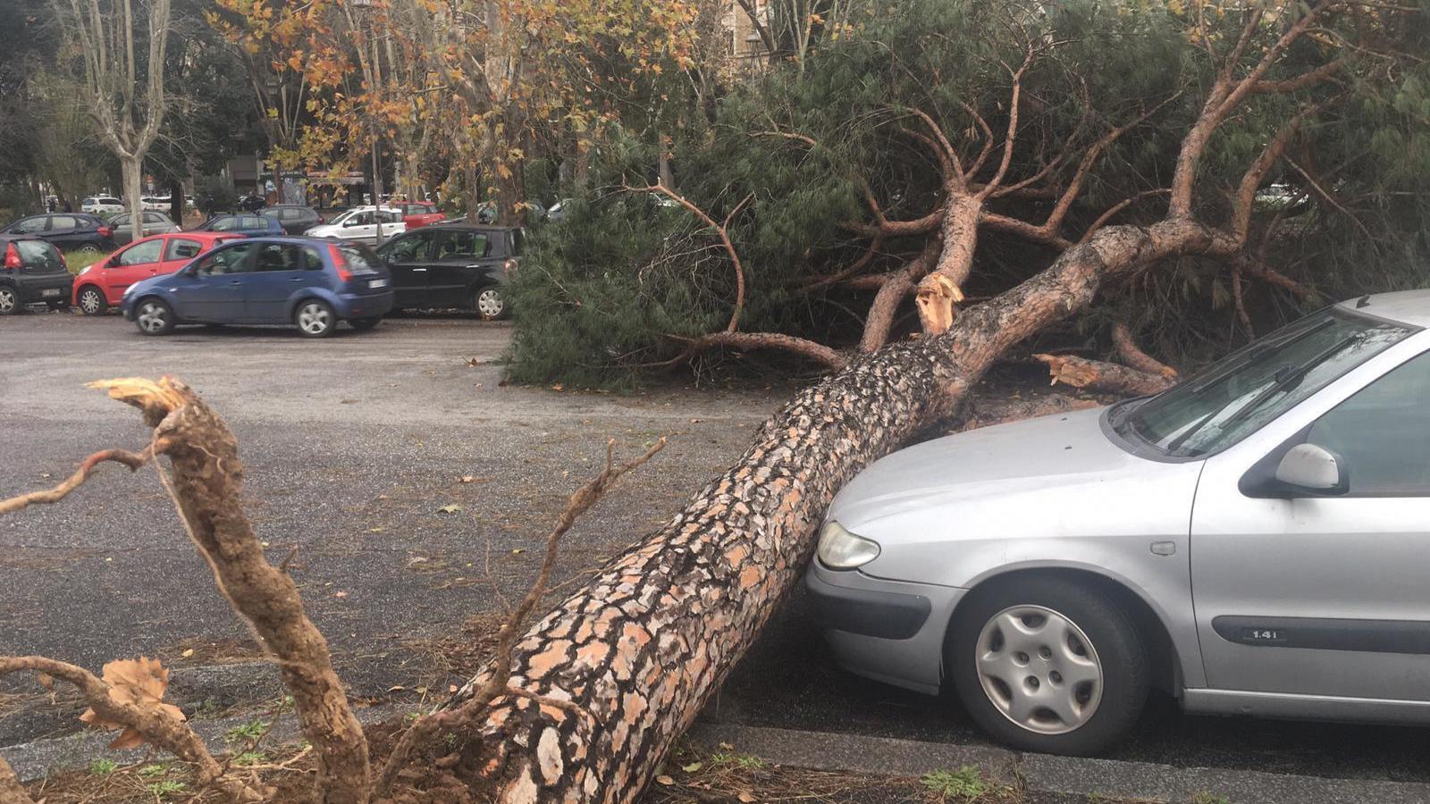 Unwetter in West- und Südeuropa: Fluten in Irland, England, Spanien Italien und Frankreich 22.12.2019, Italien, Rom: Ein entwurzelter Baum liegt auf einer Straße. Heftige Schnee- und Regenfälle haben ein Wetterchaos verursacht und mindestens einem Menschen das Leben gekostet. Foto: Beatrice Larco/AP/dpa +++ dpa-Bildfunk +++