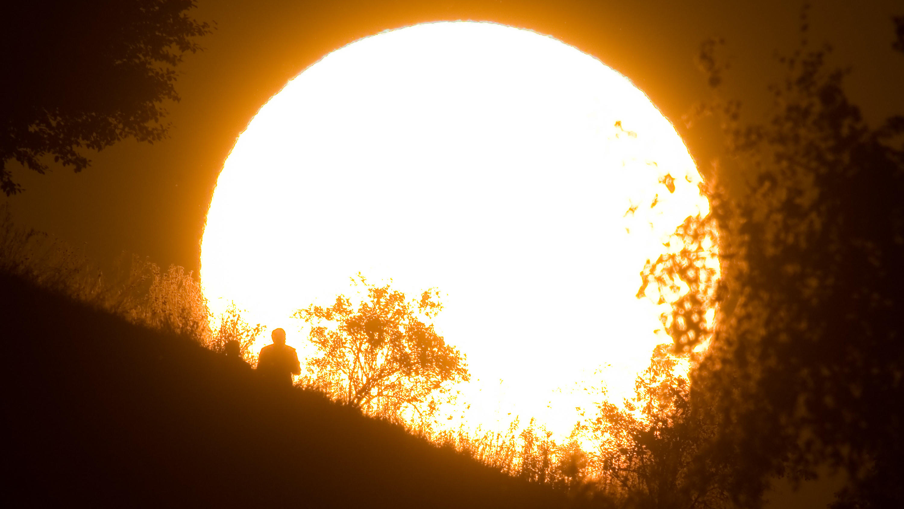Klimawandel: 2019 war das wärmste Jahr in Europa ARCHIV - 19.08.2019, Niedersachsen, Hannover: Ein Spaziergänger zeichnet sich vor der Sonne ab. (Zu dpa