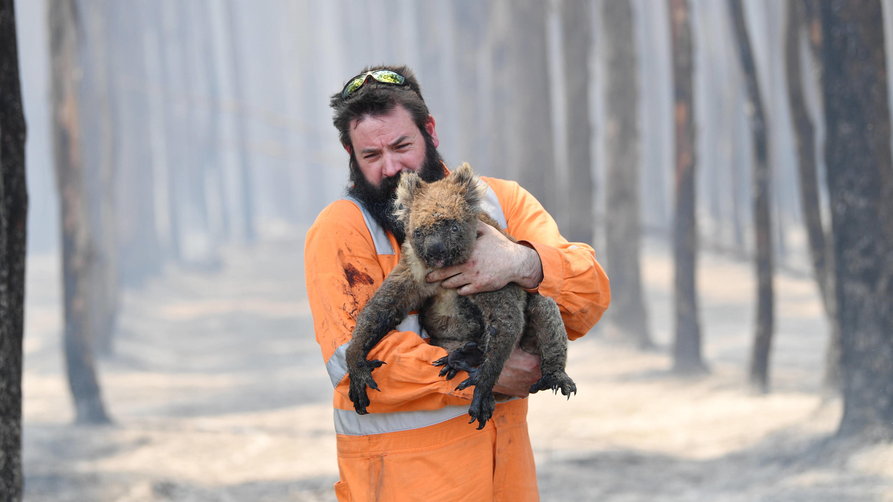 2019 das wärmste Jahr in Australien - 1,5-Grad-Ziel schon verfehlt KANGAROO ISLAND BUSHFIRES, Adelaide wildlife rescuer Simon Adamczyk is seen with koala rescued at a burning forest near near Cape Borda on Kangaroo Island, southwest of Adelaide, Tuesday, January 7, 2020. A convoy of Army vehicles, transporting up t