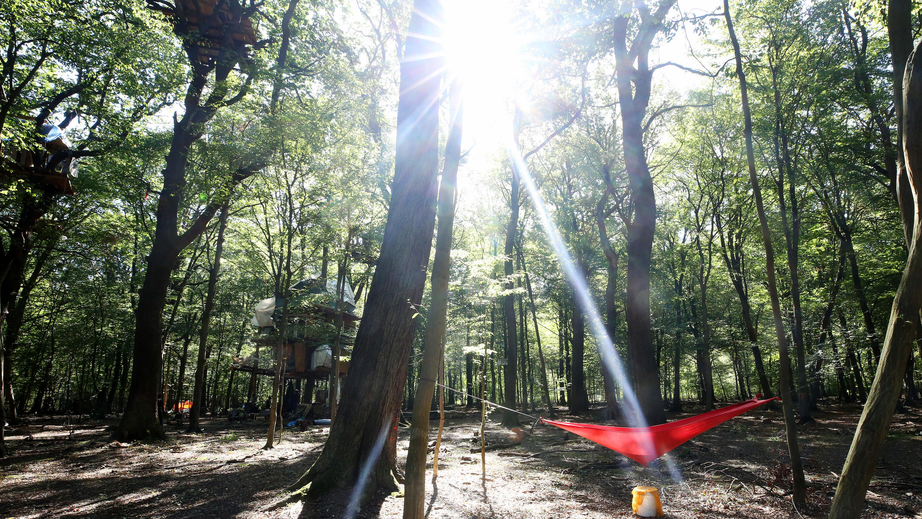 Braunkohle-Ausstieg: Abschalt-Fahrplan für Kohlekraftwerke steht fest Eine improvisiere Wassersammelstelle wird im Hambacher Forst von der Sonne angestrahlt.