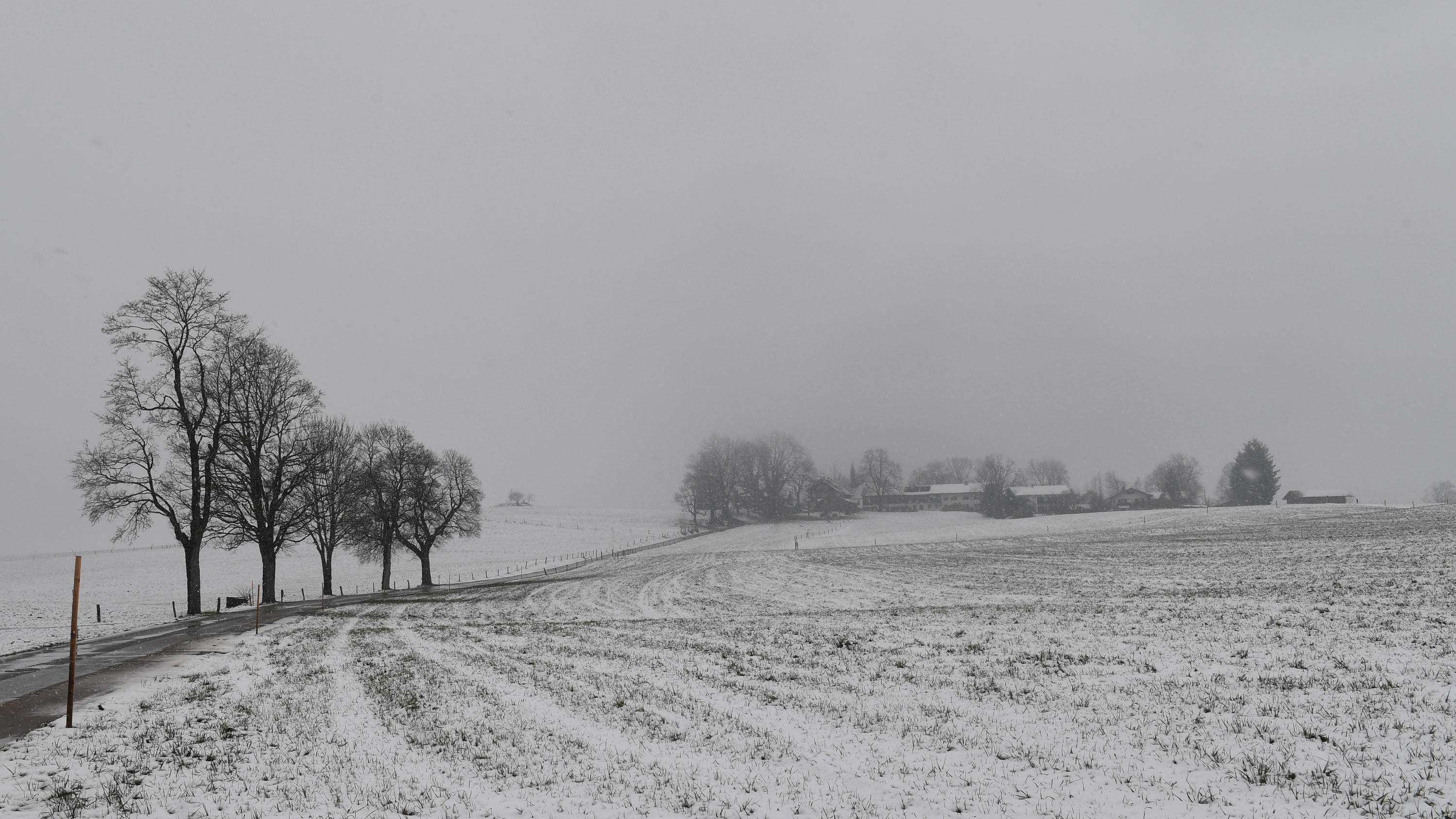 Wetterbericht für den 19.01.2020: Schneeflocken bis ins Flachland , nur im Norden scheint die Sonne 18.01.2020, Bayern, Tegernsee: Schnee liegt bei trüben Wetter auf einer Wiese in der Nähe des Tegernsee. Nachdem im letzen Jahr riesige Schneemassen das Gebiet rund um den Tegernsee fast zum Erliegen gebracht haben, sind in diesem Jahr milde Temperat