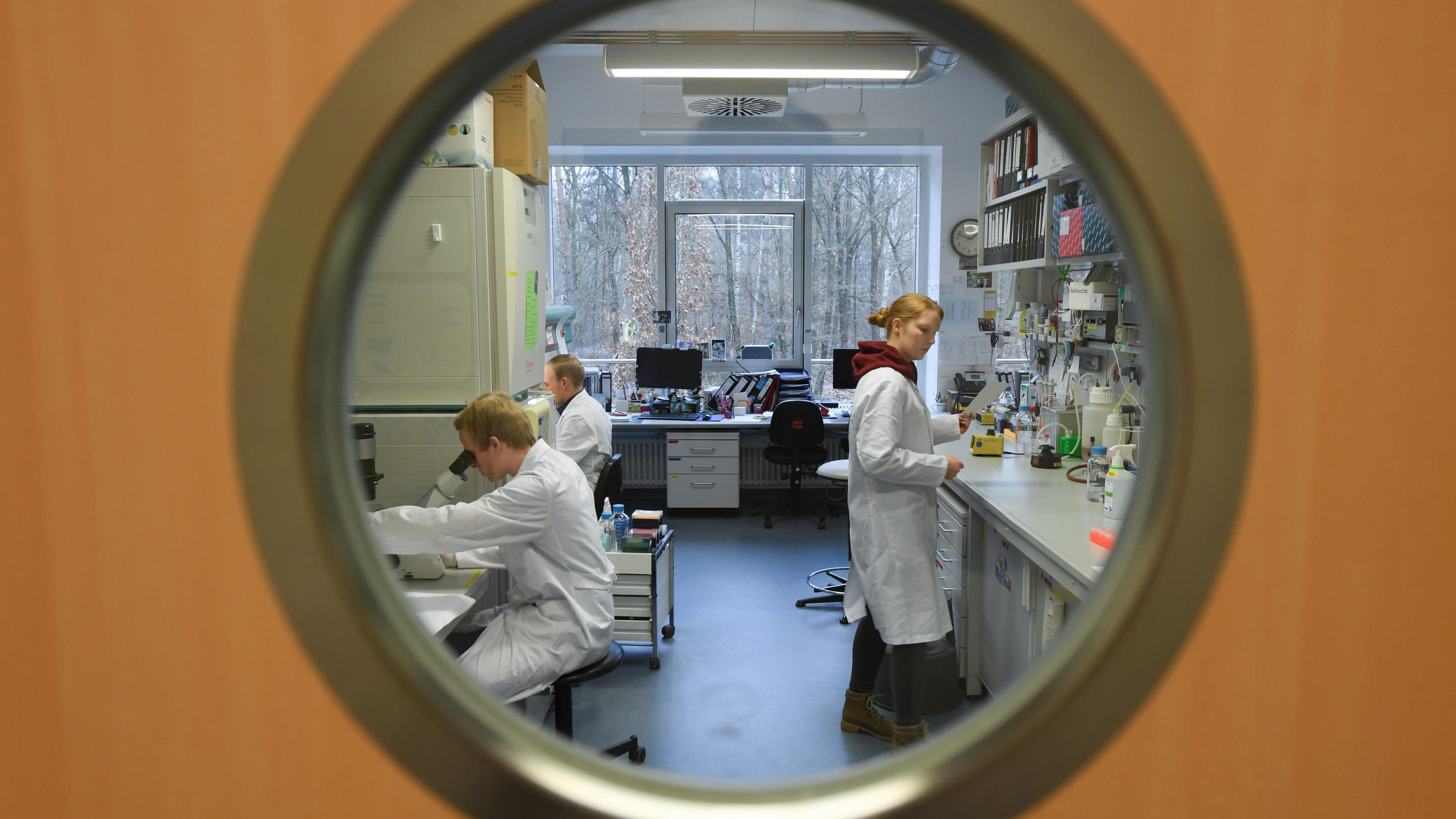 Coronavirus-Chronik Teil 1 24.01.2020, Hessen, Marburg: Mitarbeiter des Instituts für Virologie der Philipps-Universität Marburg arbeiten in einem Forschungslabor. Das neuartige Coronavirus beschäftigt auch hessische Wissenschaftler. Die Virologen der Uni Marburg sind an der E