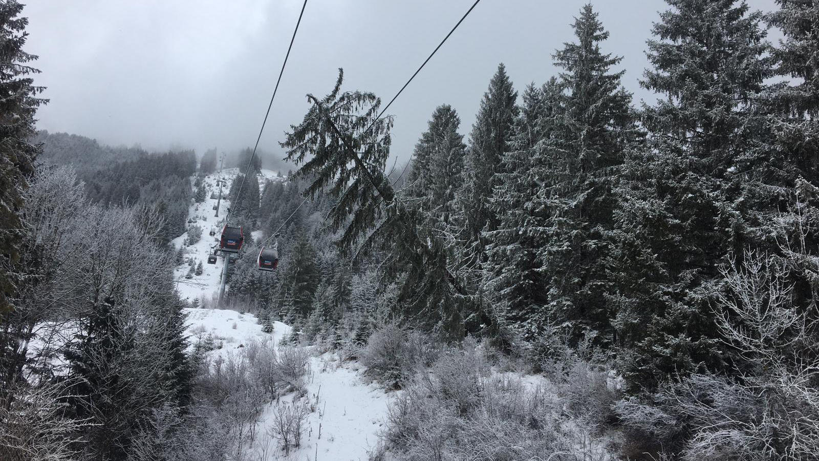 Orkantief 28.01.2020, Österreich, Höfen: Ein umgekippter Baum lehnt an einem Tragseil einer Seilbahn. Der Betrieb der Seilbahn wurde eingestellt, nachdem ein Baum wegen einer Windböe auf das Tragseil gestürzt war. Foto: Zoom.Tirol/APA/dpa +++ dpa-Bildfunk +++