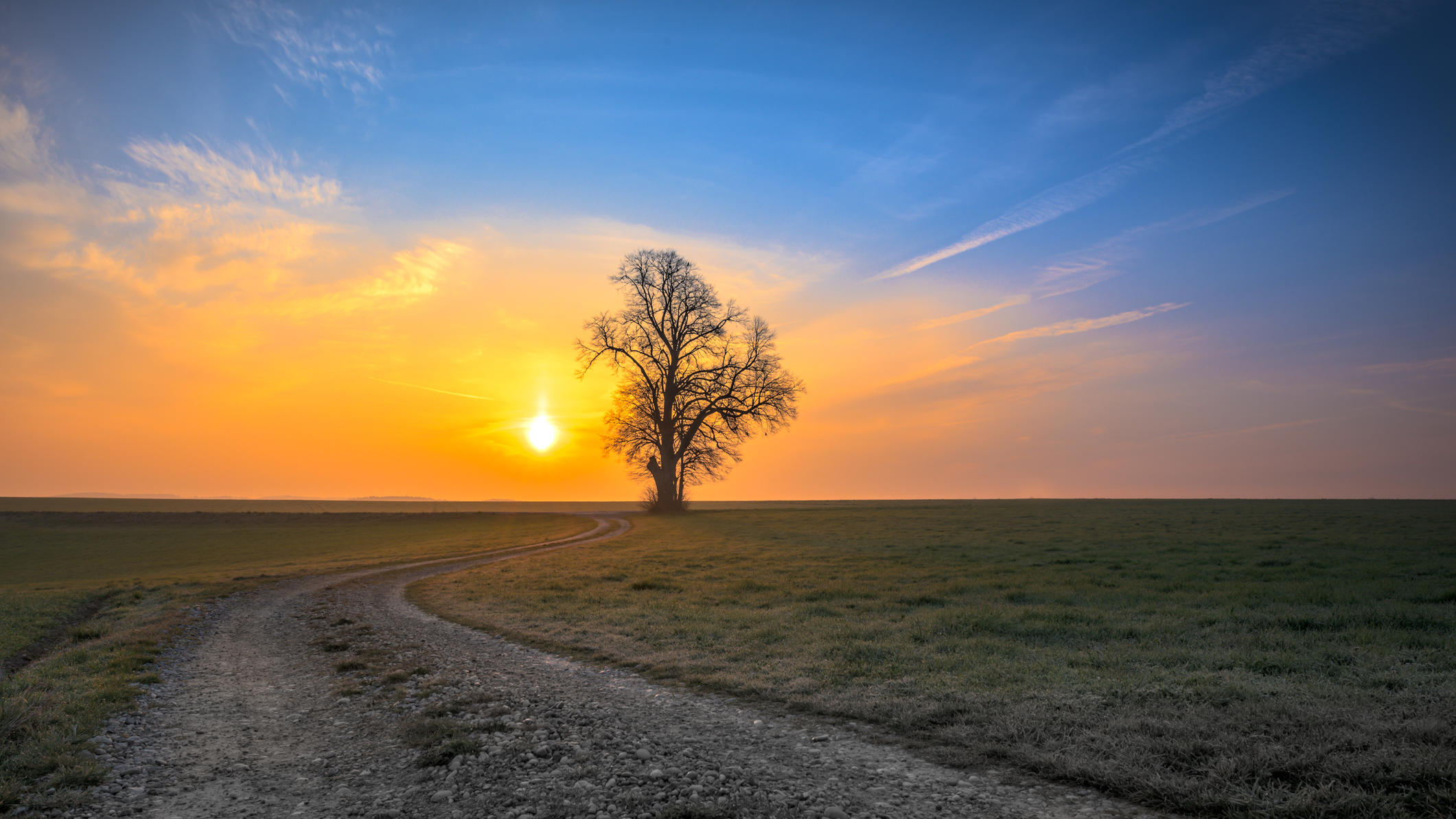 Selten war ein Winter in Deutschland so schneelos Soft-Winter 2019/2020: Selten war ein Winter in Deutschland so schneelos